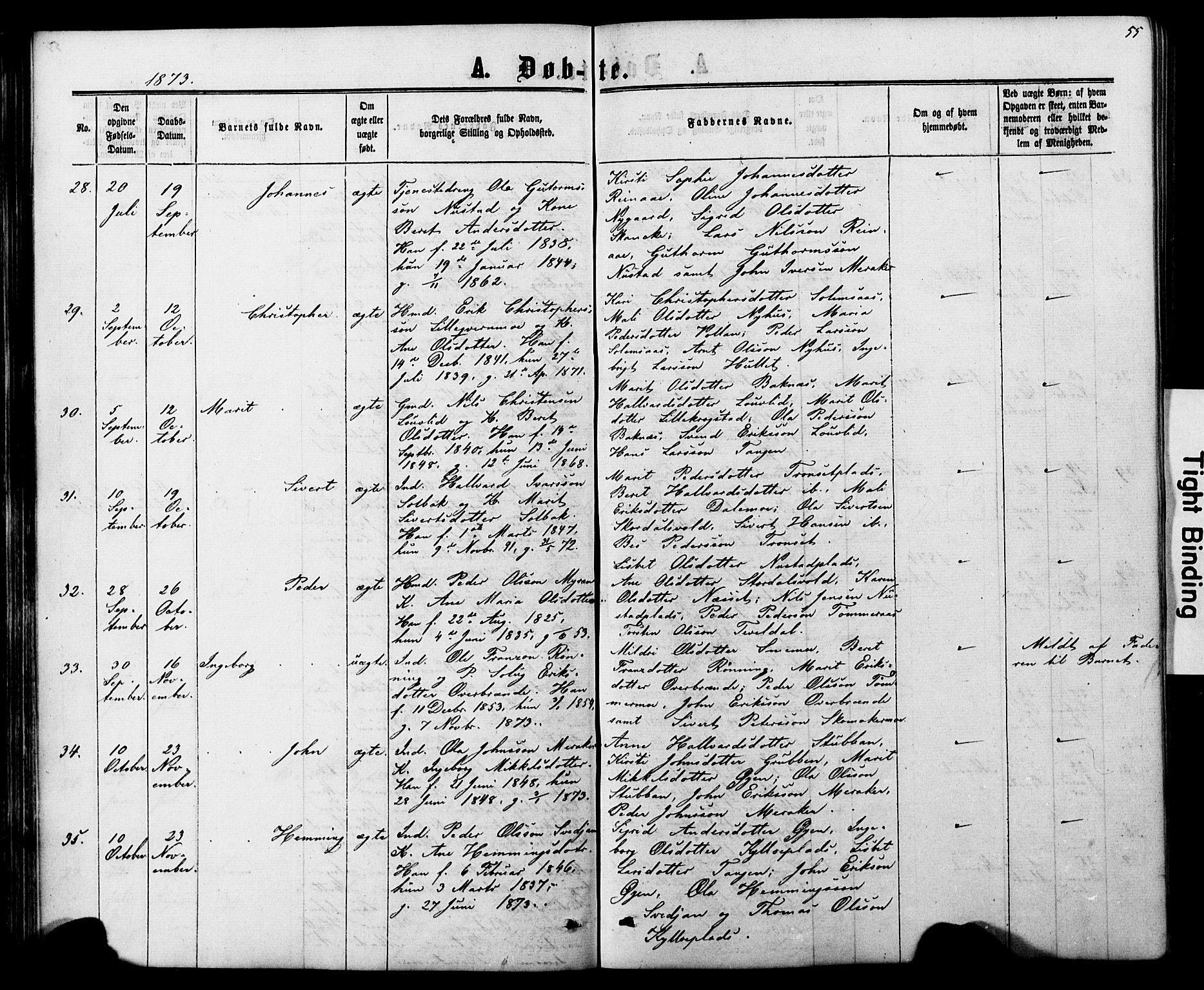 Ministerialprotokoller, klokkerbøker og fødselsregistre - Nord-Trøndelag, SAT/A-1458/706/L0049: Parish register (copy) no. 706C01, 1864-1895, p. 55