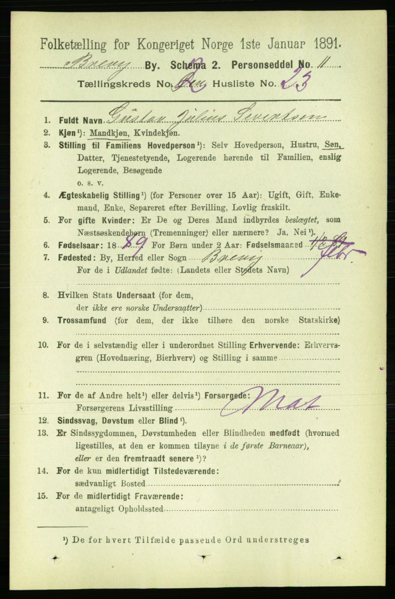 RA, 1891 census for 0804 Brevik, 1891, p. 1750