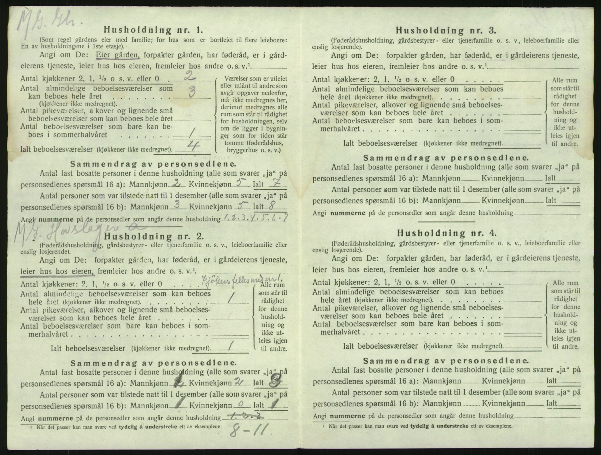 SAKO, 1920 census for Brunlanes, 1920, p. 924