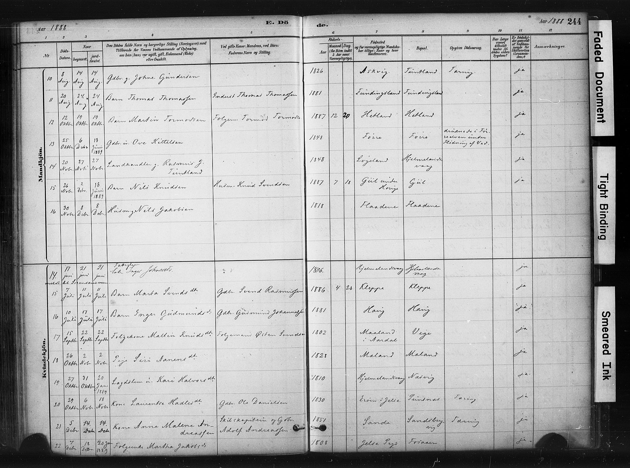 Hjelmeland sokneprestkontor, AV/SAST-A-101843/01/IV/L0014: Parish register (official) no. A 14, 1879-1900, p. 244