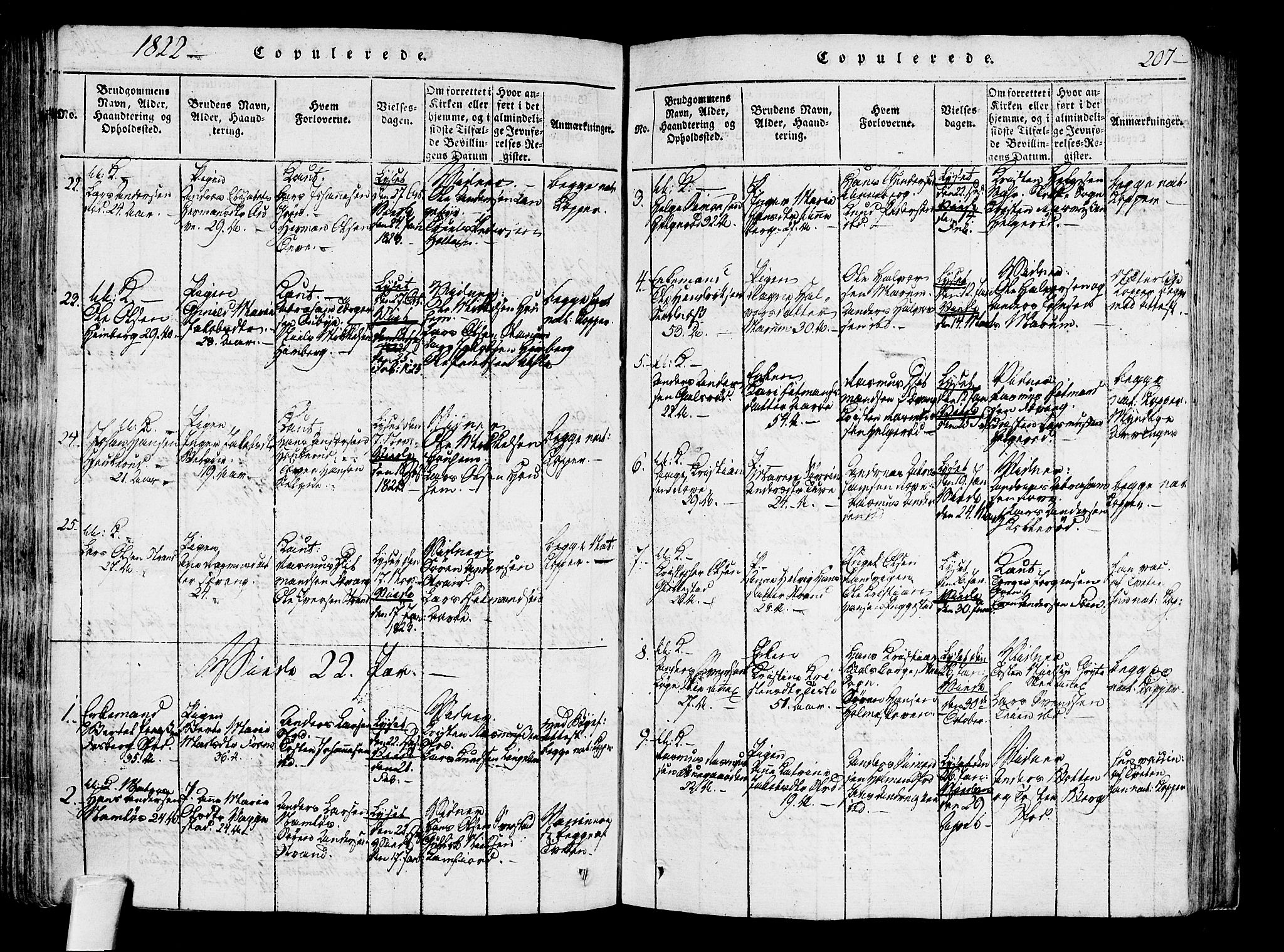 Sandar kirkebøker, AV/SAKO-A-243/F/Fa/L0004: Parish register (official) no. 4, 1814-1832, p. 207