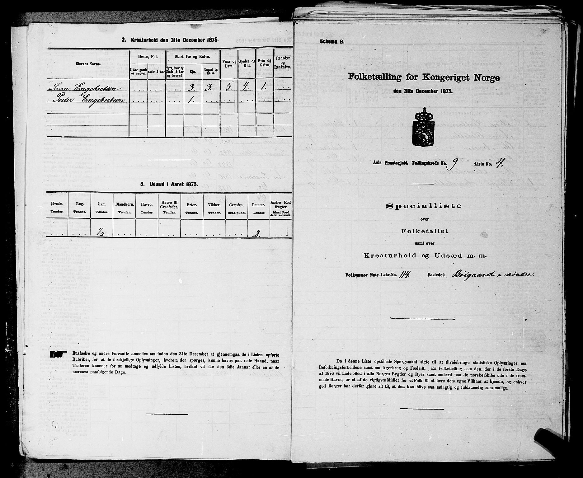 SAKO, 1875 census for 0619P Ål, 1875, p. 1097