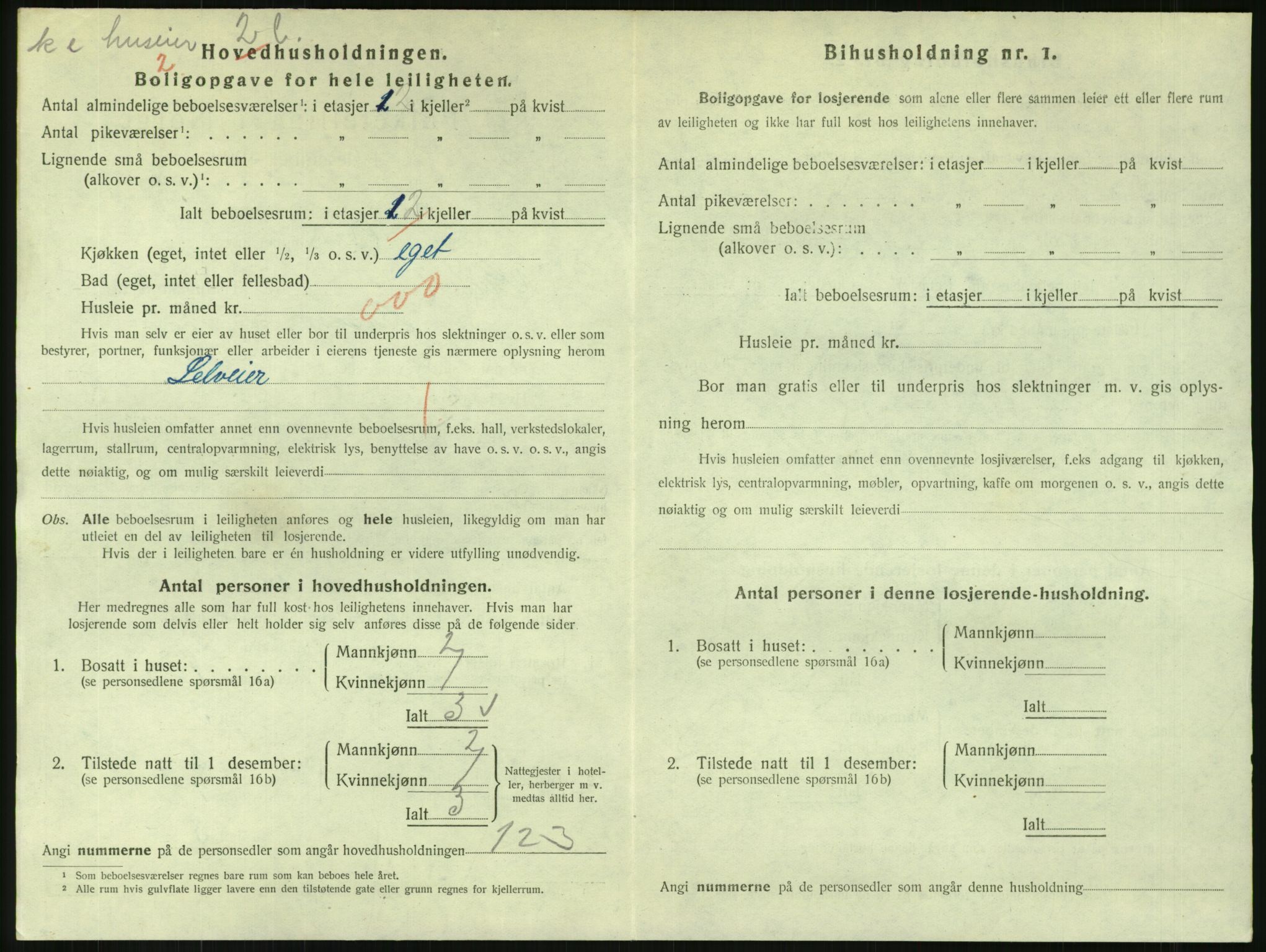 SAKO, 1920 census for Svelvik, 1920, p. 1172