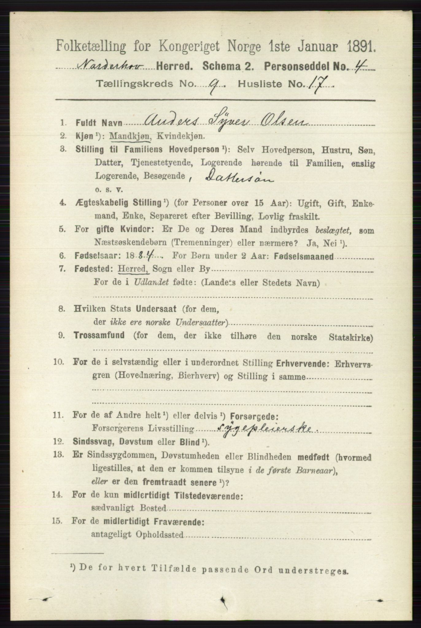 RA, 1891 census for 0613 Norderhov, 1891, p. 6713