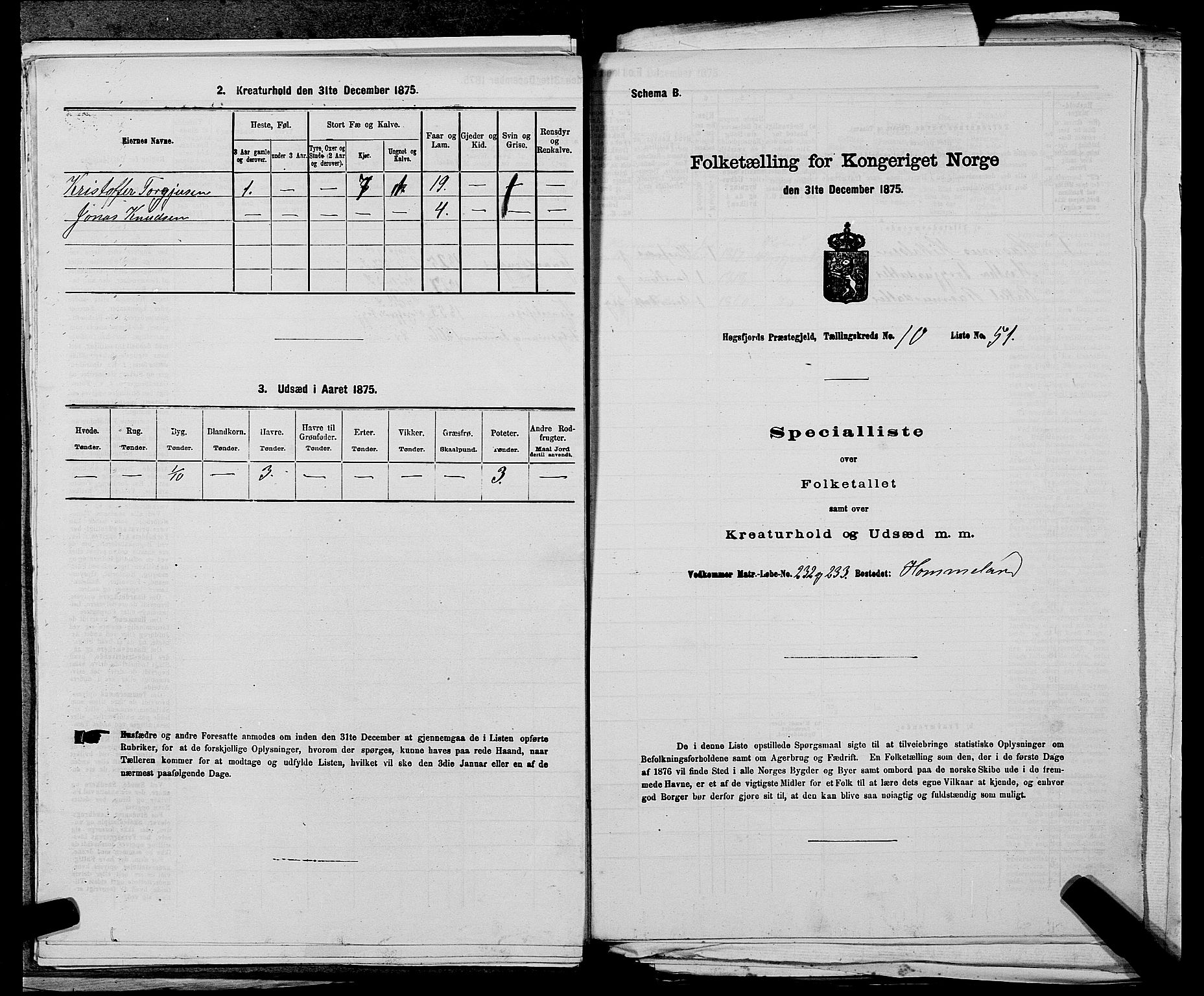 SAST, 1875 census for 1128P Høgsfjord, 1875, p. 880