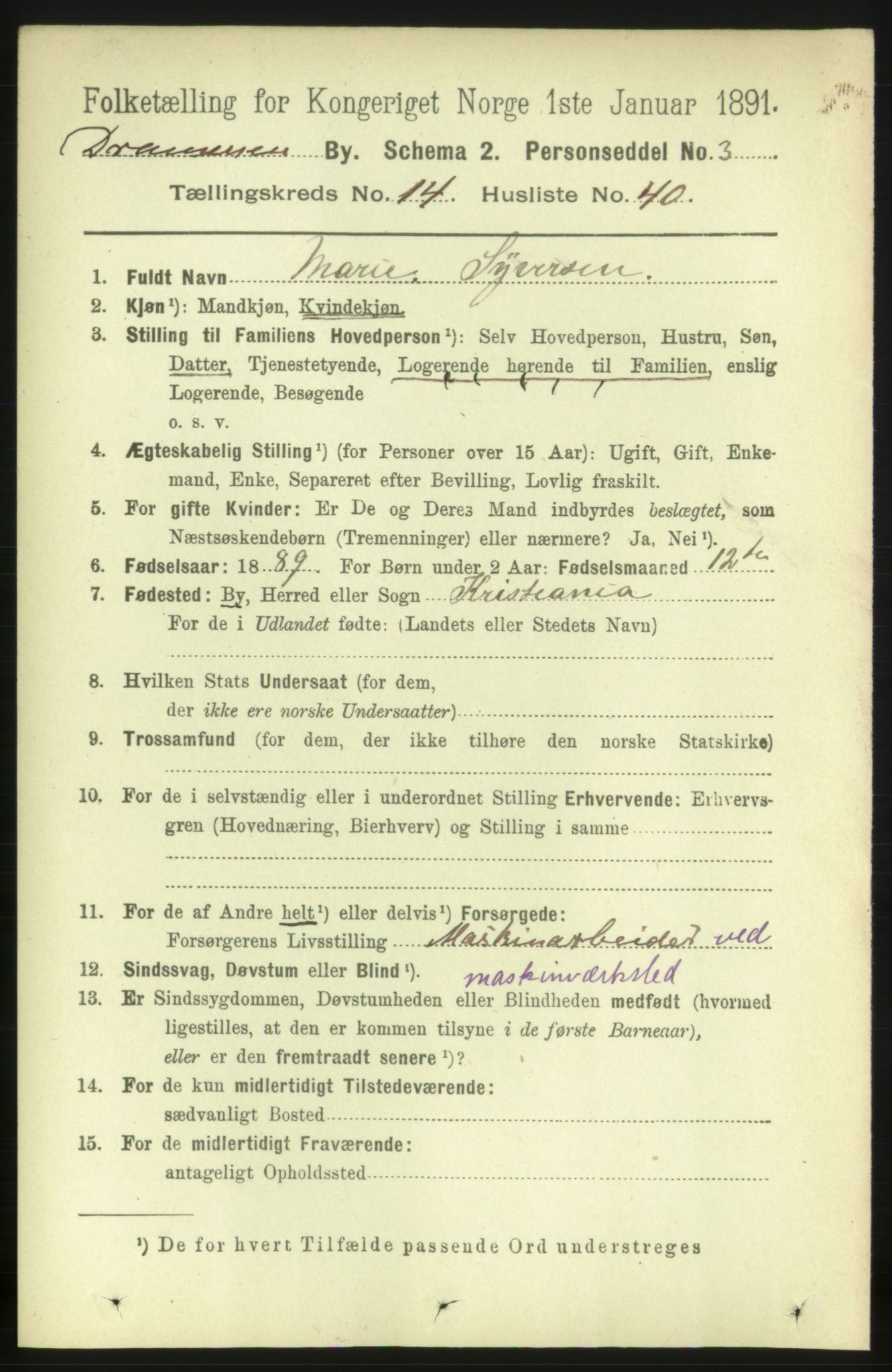 RA, 1891 census for 0602 Drammen, 1891, p. 10486