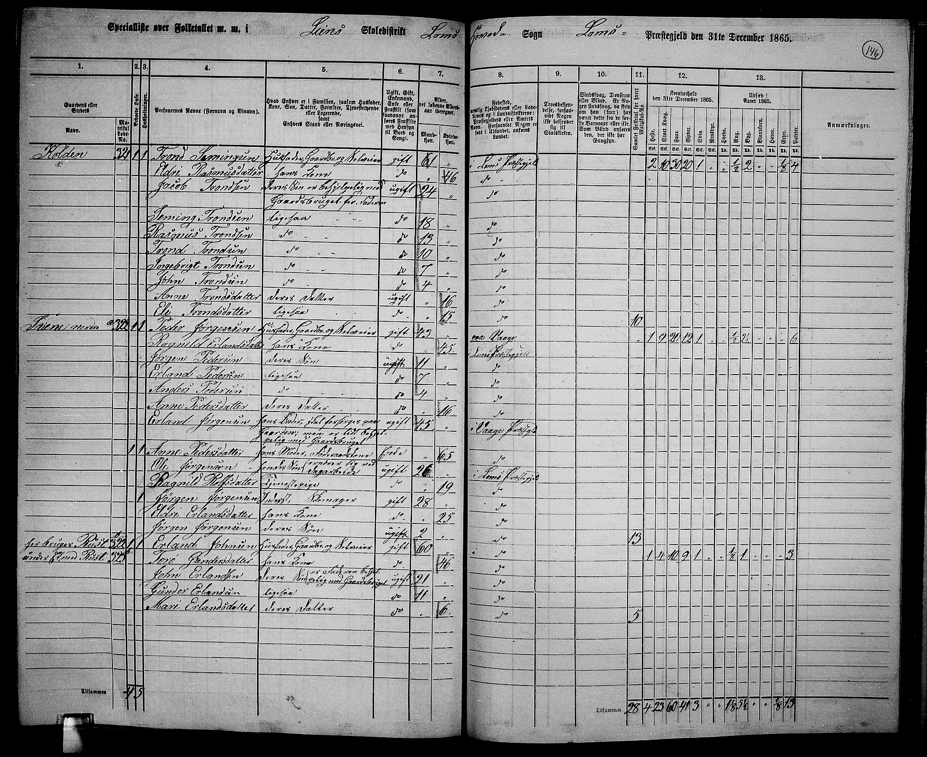 RA, 1865 census for Lom, 1865, p. 132