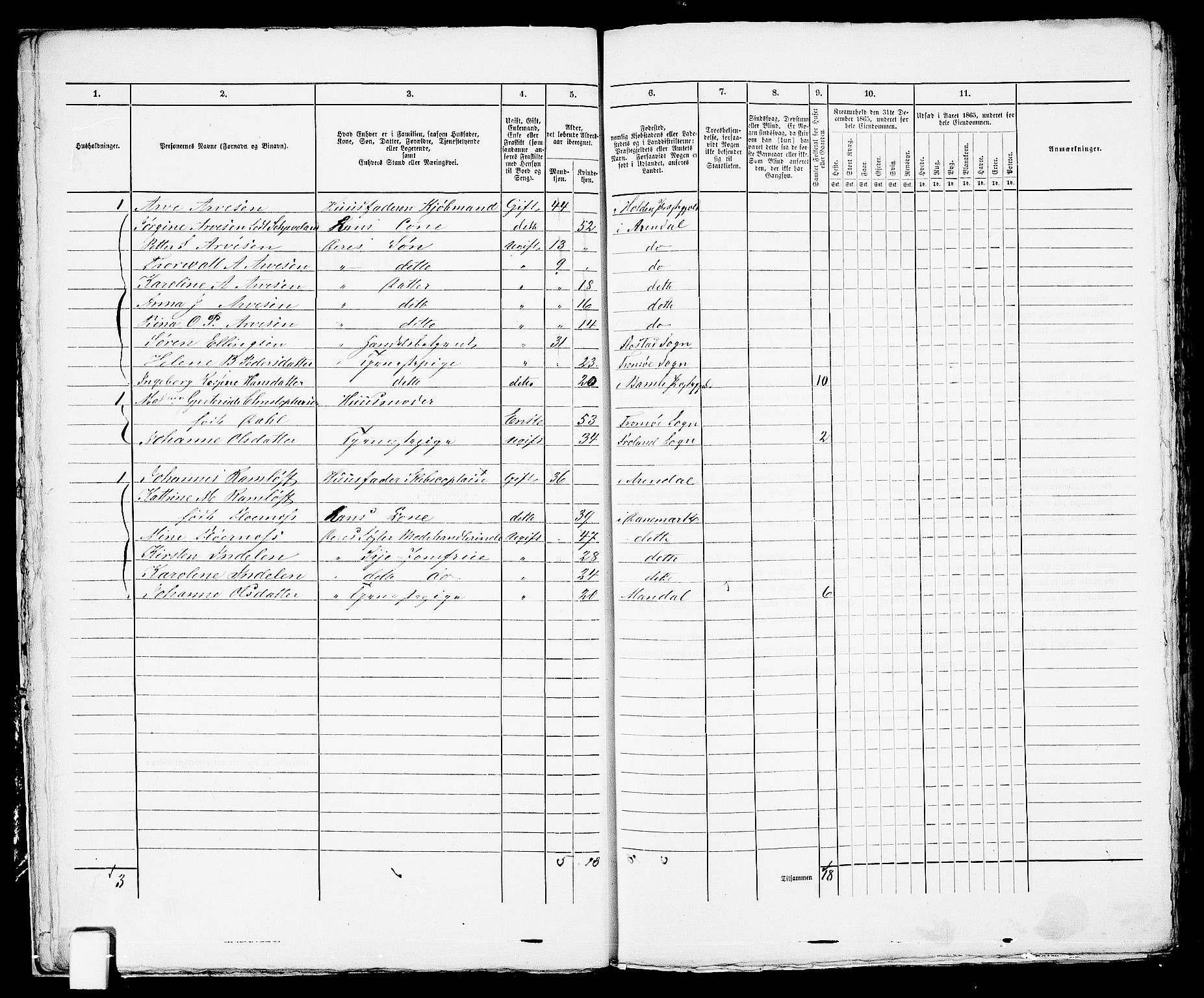 RA, 1865 census for Arendal, 1865, p. 20