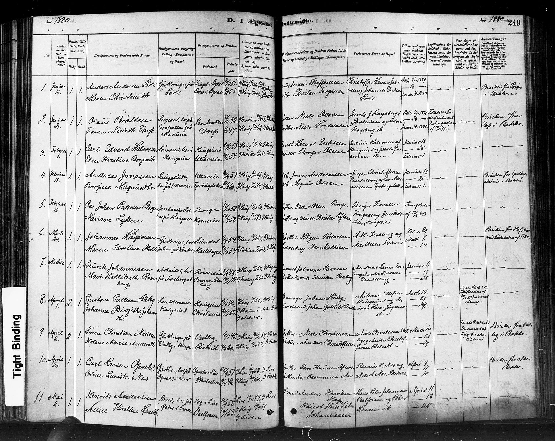 Eiker kirkebøker, SAKO/A-4/F/Fb/L0001: Parish register (official) no. II 1, 1878-1888, p. 249