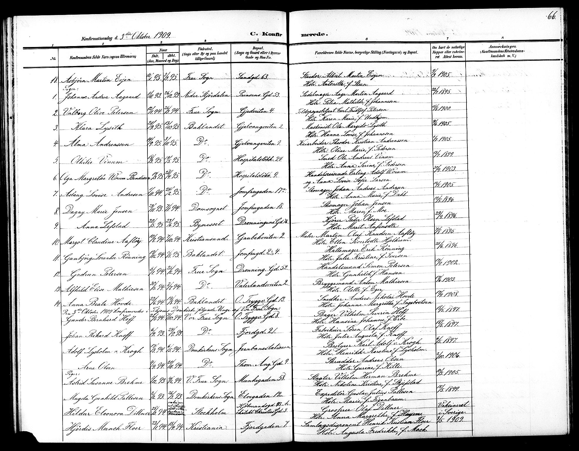 Ministerialprotokoller, klokkerbøker og fødselsregistre - Sør-Trøndelag, SAT/A-1456/602/L0146: Parish register (copy) no. 602C14, 1904-1914, p. 66