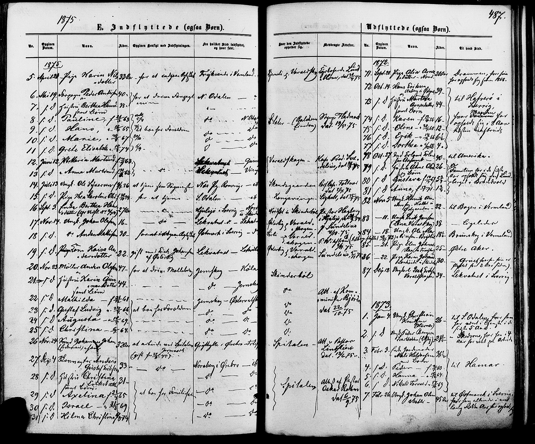 Vinger prestekontor, AV/SAH-PREST-024/H/Ha/Haa/L0012: Parish register (official) no. 12, 1871-1880, p. 487