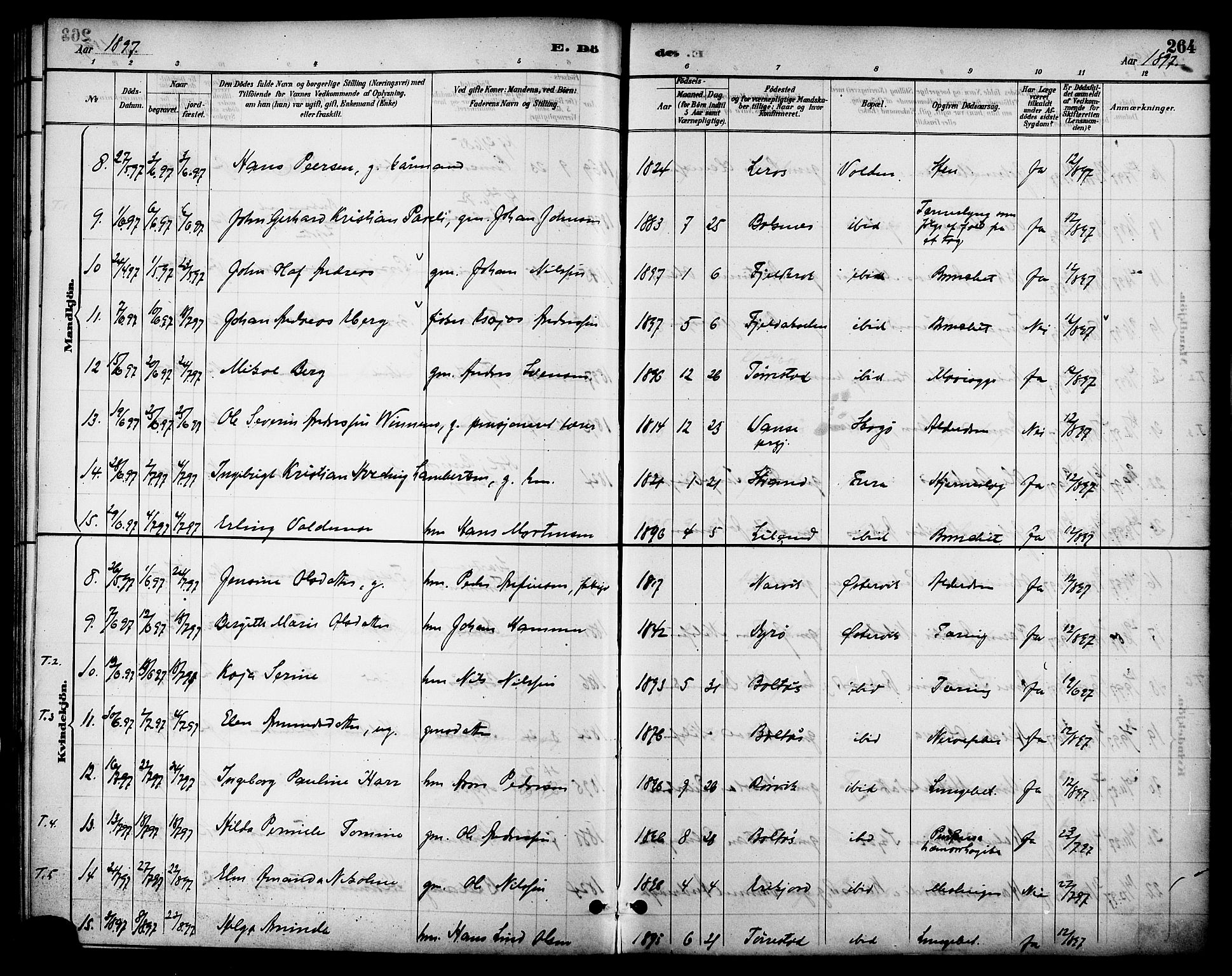 Ministerialprotokoller, klokkerbøker og fødselsregistre - Nordland, SAT/A-1459/863/L0898: Parish register (official) no. 863A10, 1886-1897, p. 264