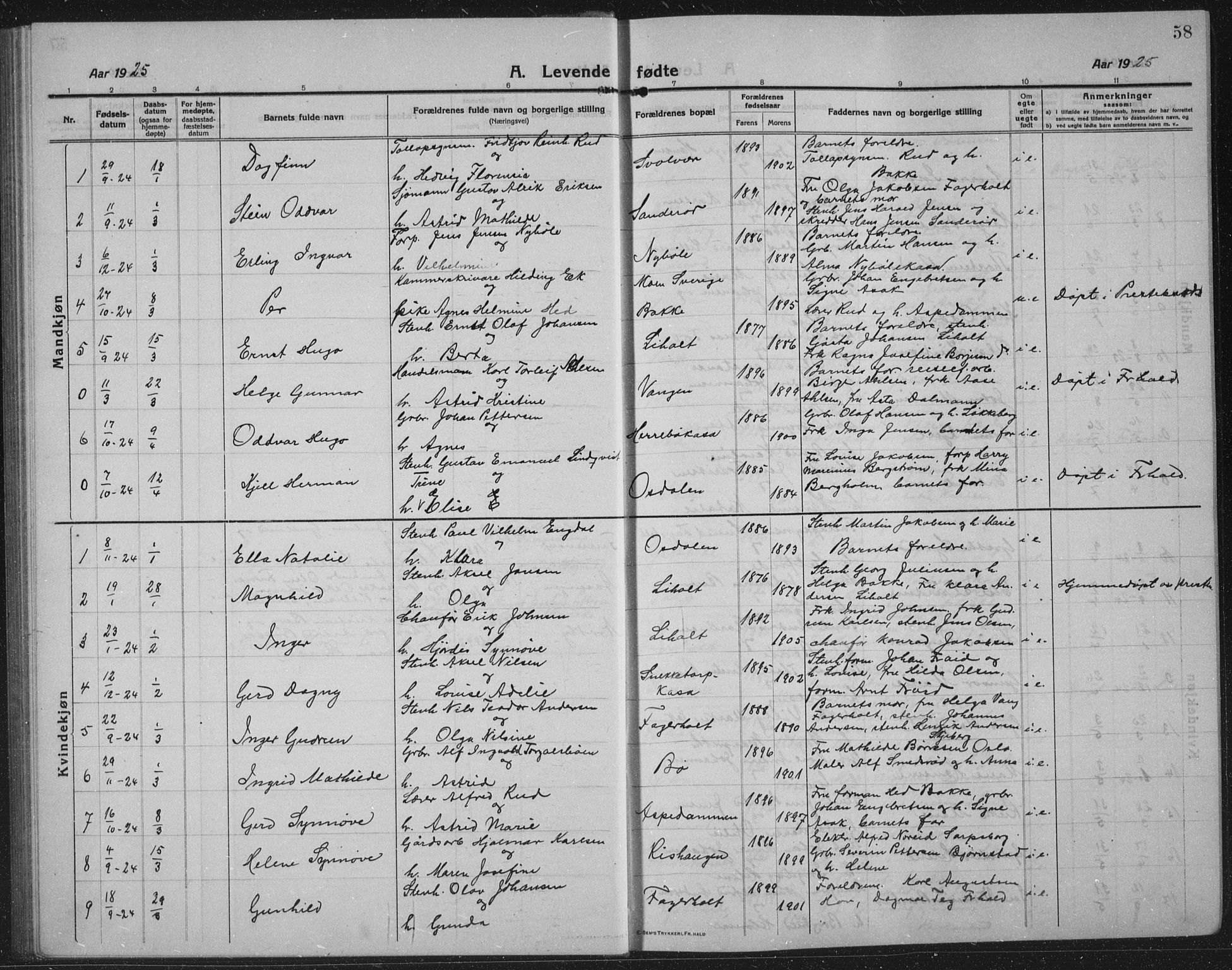 Idd prestekontor Kirkebøker, SAO/A-10911/G/Gb/L0003: Parish register (copy) no. II 3, 1914-1940, p. 58