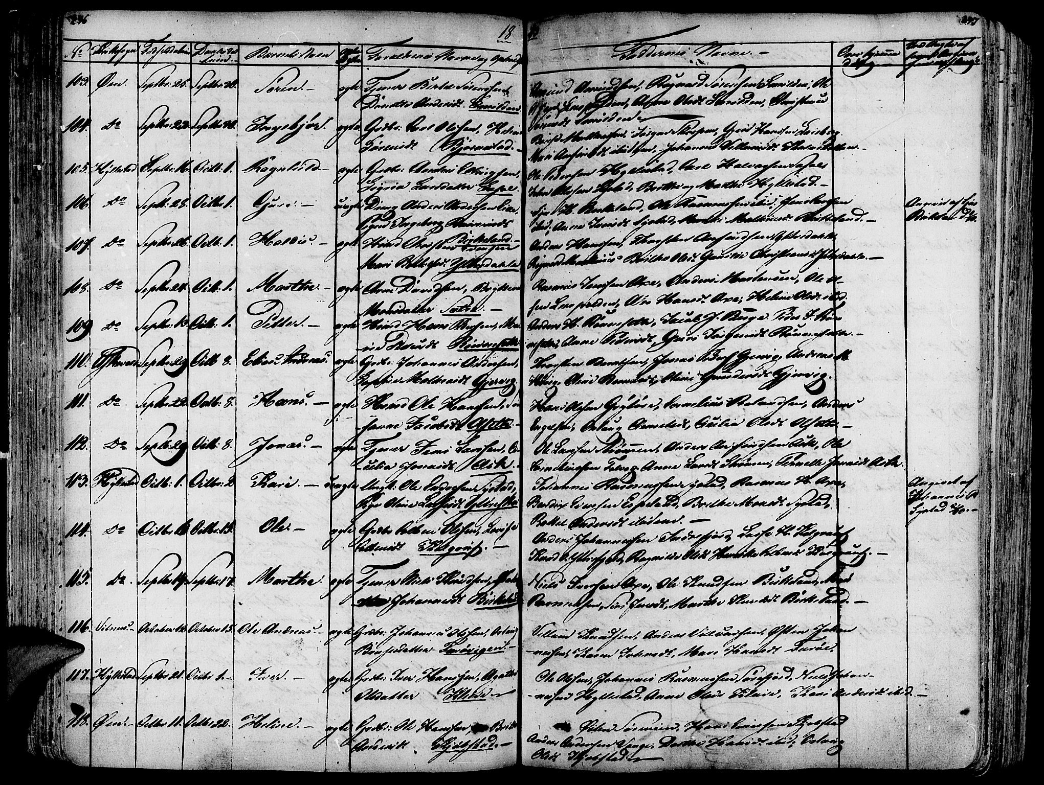 Askvoll sokneprestembete, SAB/A-79501/H/Haa/Haaa/L0010: Parish register (official) no. A 10, 1821-1844, p. 246-247