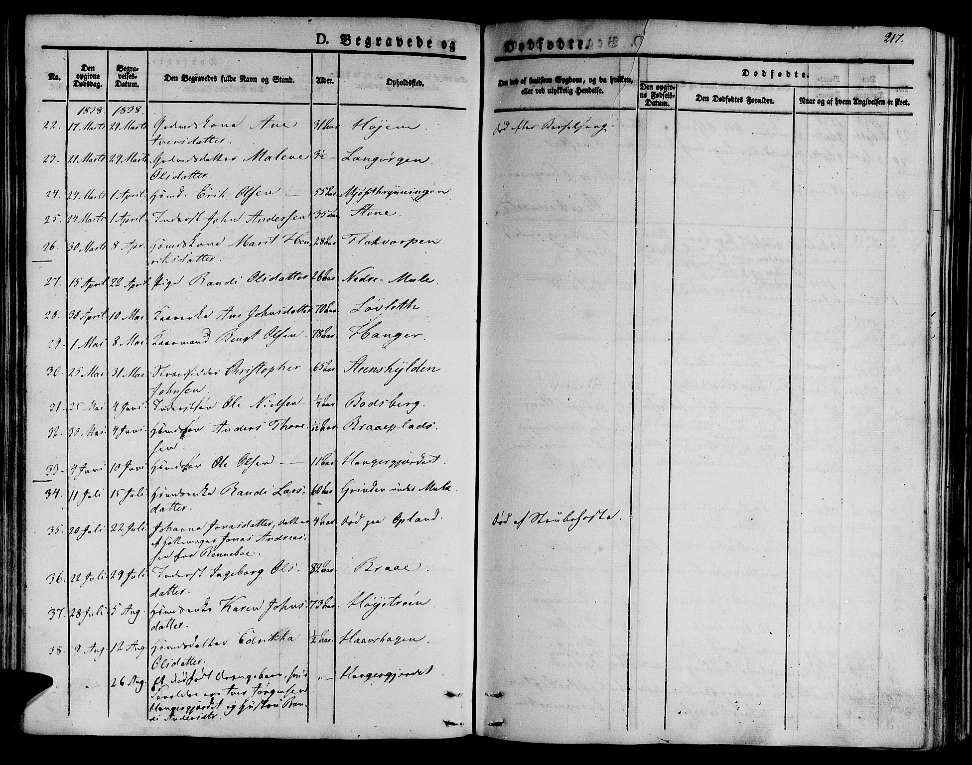 Ministerialprotokoller, klokkerbøker og fødselsregistre - Sør-Trøndelag, AV/SAT-A-1456/612/L0374: Parish register (official) no. 612A07 /1, 1829-1845, p. 217