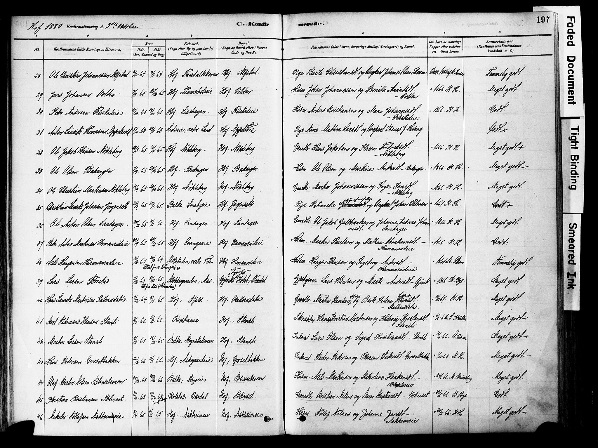 Østre Toten prestekontor, AV/SAH-PREST-104/H/Ha/Haa/L0006: Parish register (official) no. 6 /1, 1878-1896, p. 197