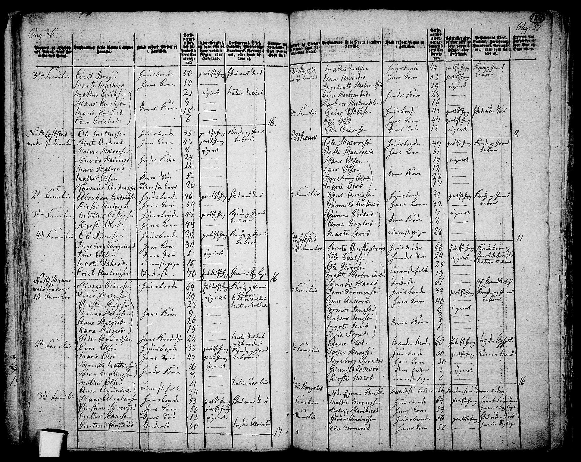 RA, 1801 census for 0728P Lardal, 1801, p. 123b-124a