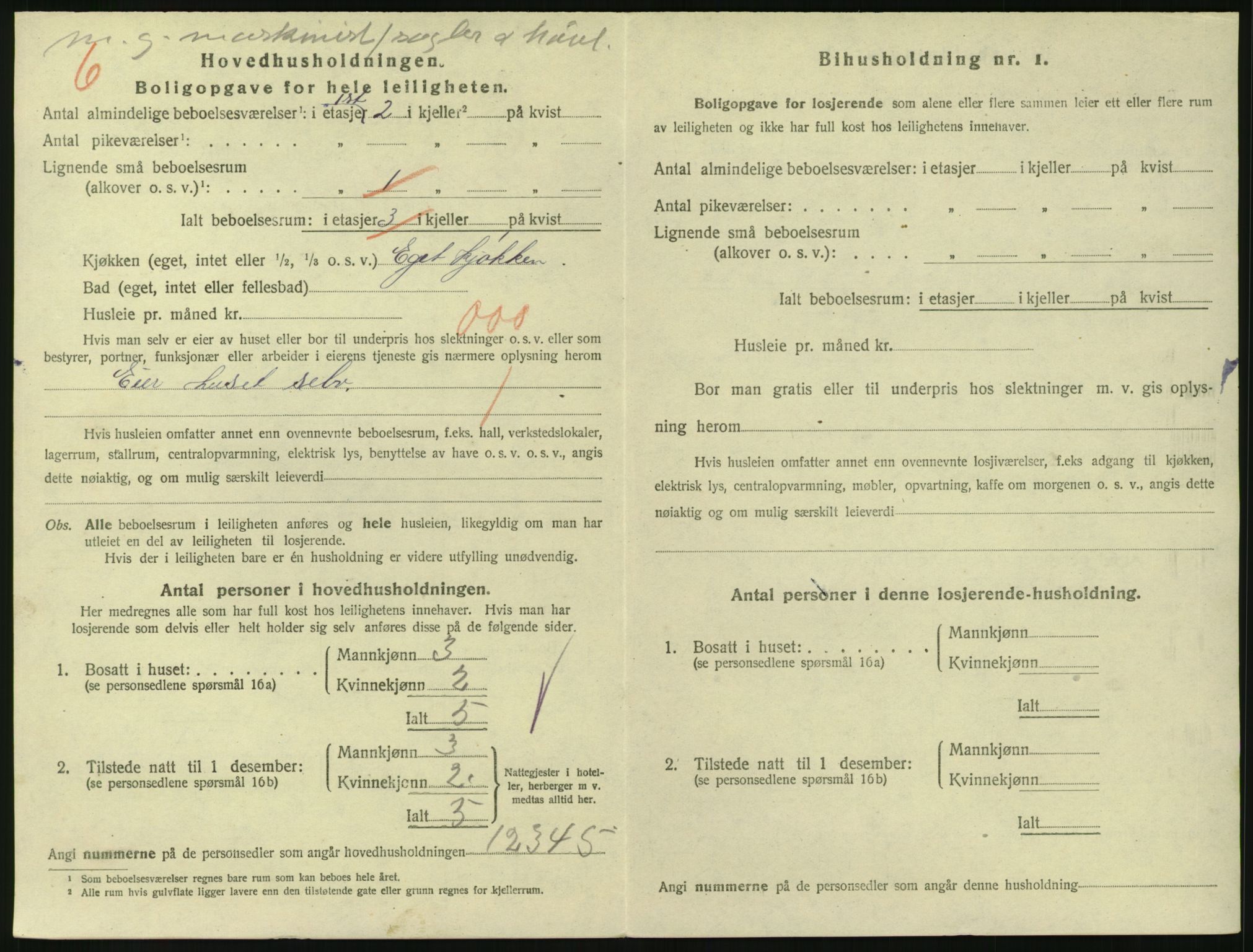 SAKO, 1920 census for Larvik, 1920, p. 3757