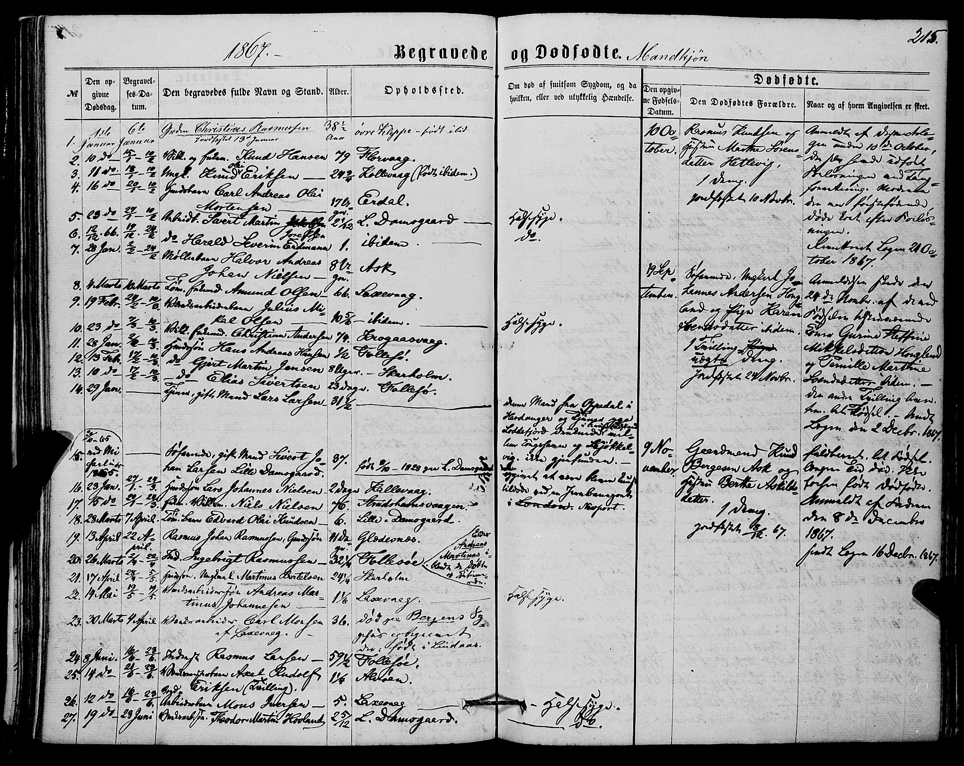 Askøy Sokneprestembete, SAB/A-74101/H/Ha/Haa/Haaa/L0009: Parish register (official) no. A 9, 1863-1877, p. 215