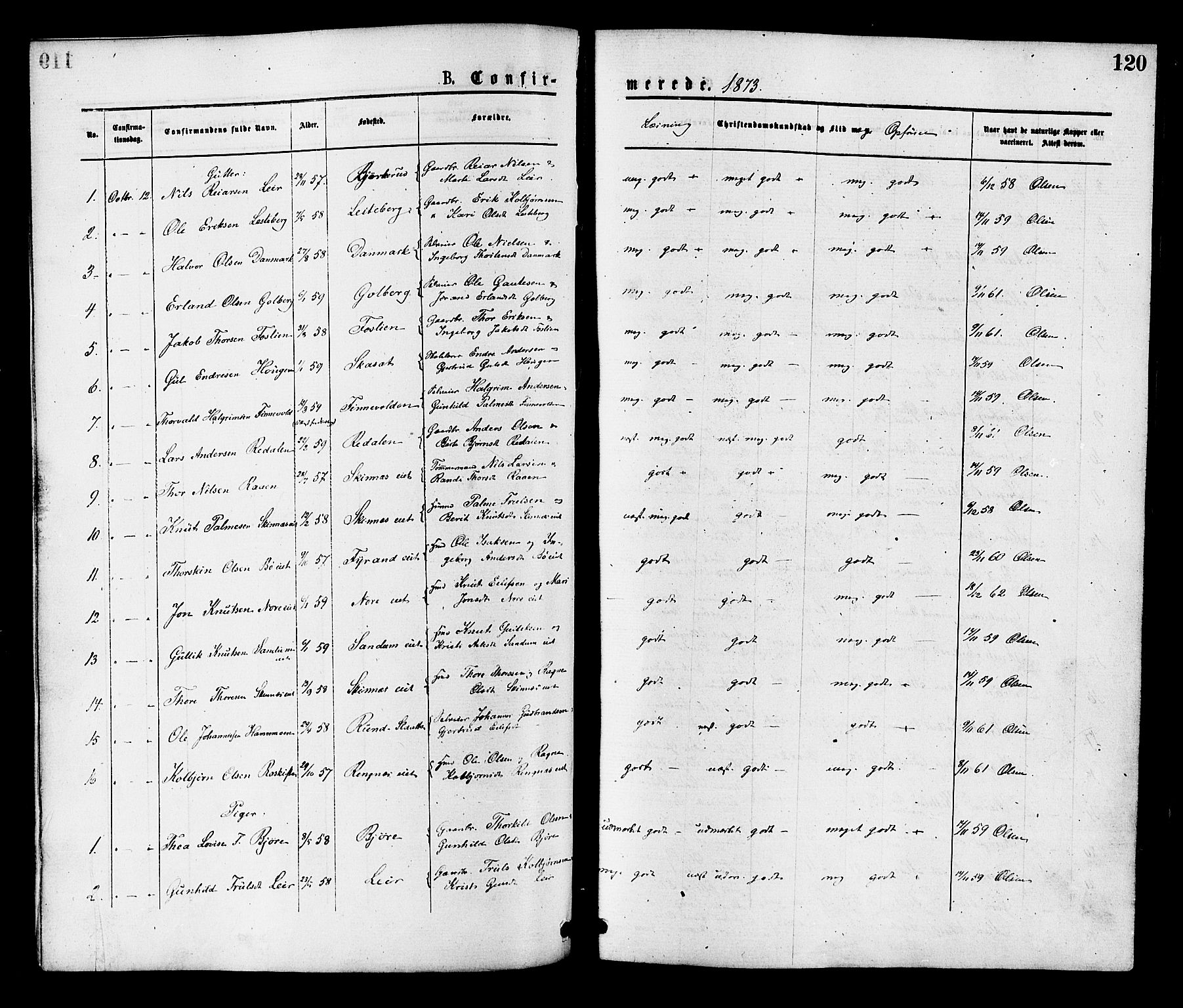 Krødsherad kirkebøker, SAKO/A-19/F/Fa/L0004: Parish register (official) no. 4, 1873-1878, p. 120