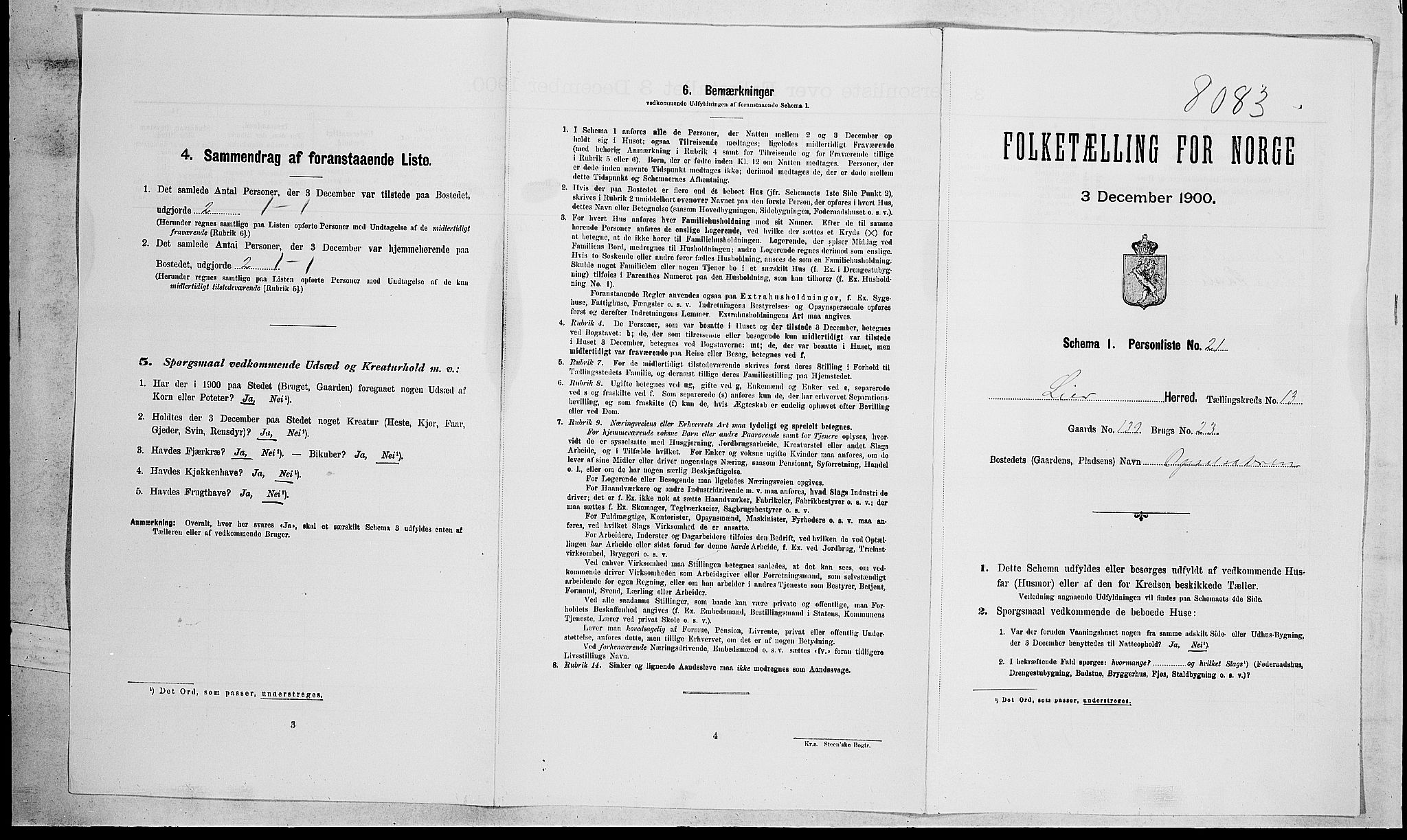 RA, 1900 census for Lier, 1900, p. 2154