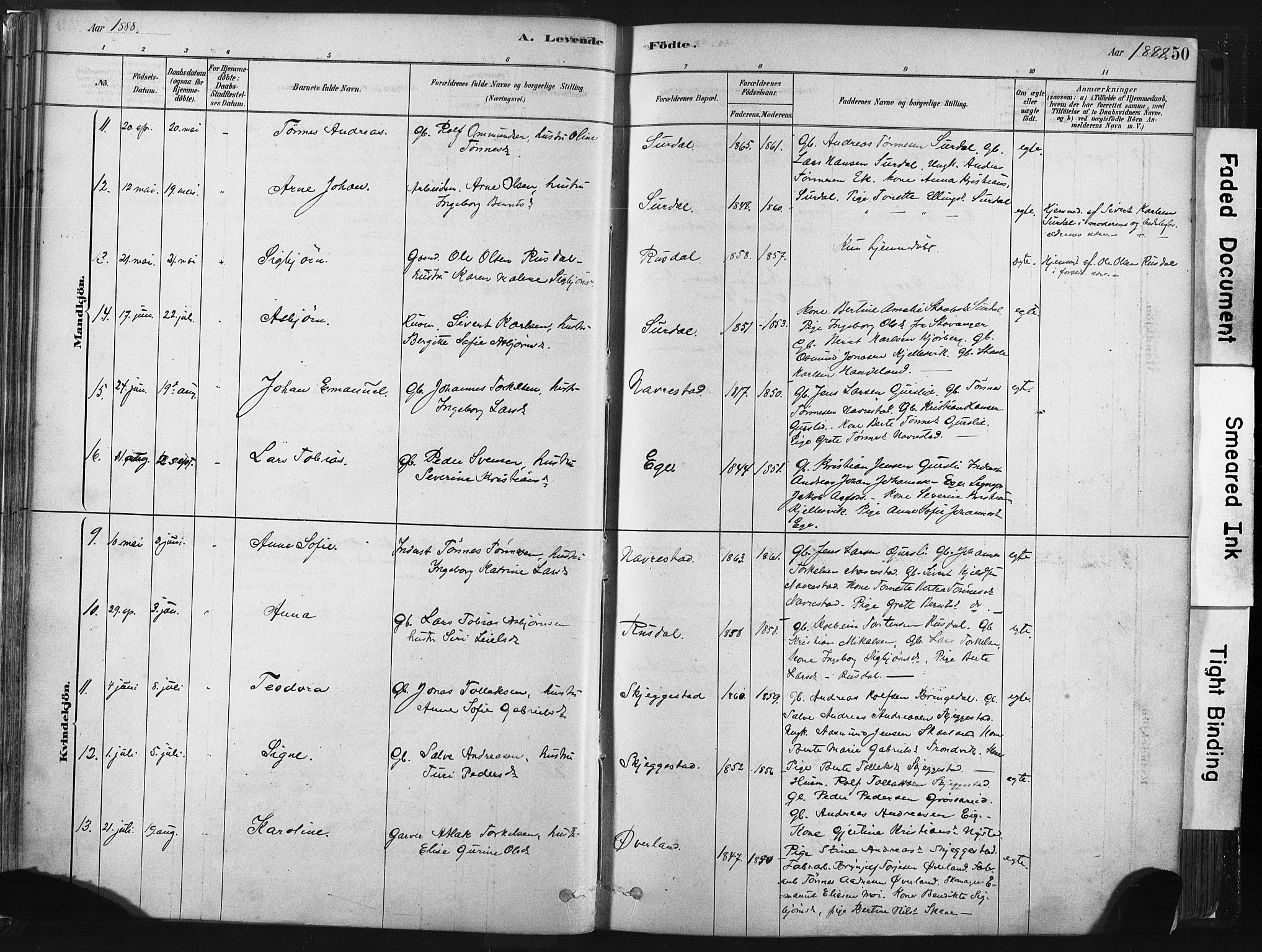 Lund sokneprestkontor, AV/SAST-A-101809/S06/L0011: Parish register (official) no. A 10, 1877-1904, p. 50