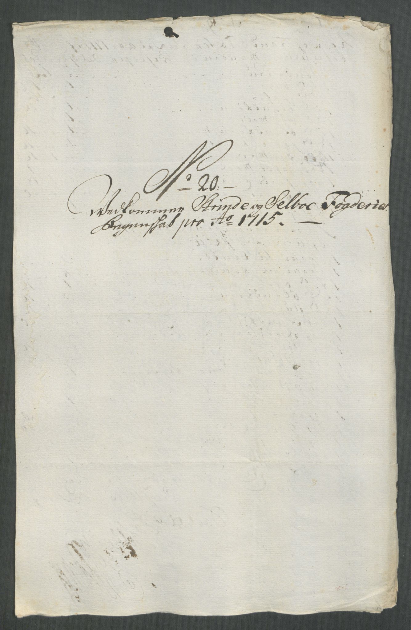 Rentekammeret inntil 1814, Reviderte regnskaper, Fogderegnskap, AV/RA-EA-4092/R61/L4115: Fogderegnskap Strinda og Selbu, 1715-1716, p. 166