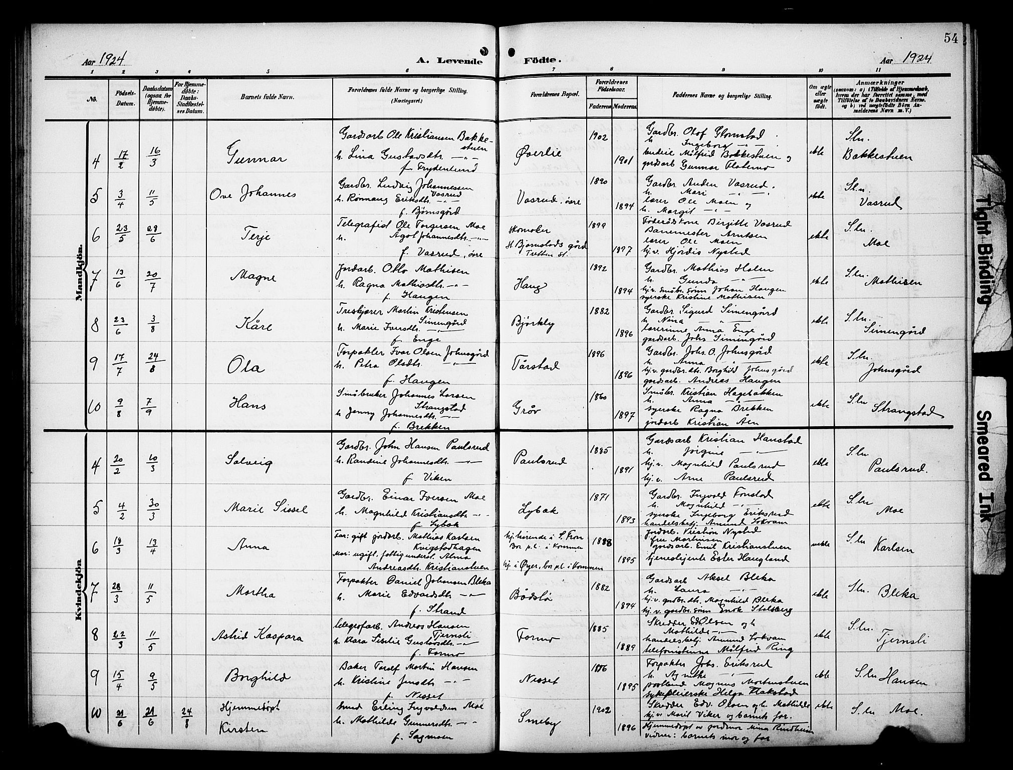 Øyer prestekontor, AV/SAH-PREST-084/H/Ha/Hab/L0006: Parish register (copy) no. 6, 1906-1929, p. 54