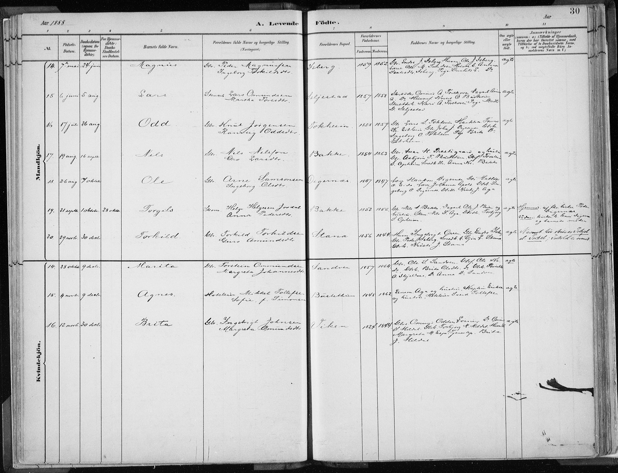 Odda Sokneprestembete, SAB/A-77201/H/Haa: Parish register (official) no. A  3, 1882-1913, p. 30