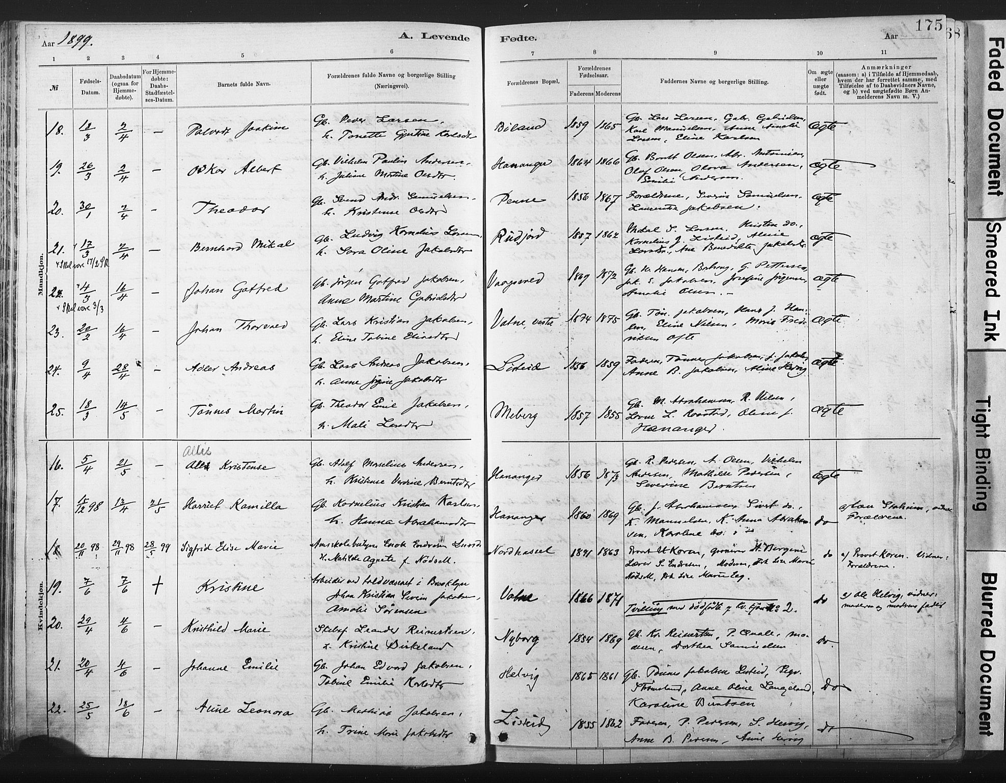 Lista sokneprestkontor, AV/SAK-1111-0027/F/Fa/L0012: Parish register (official) no. A 12, 1879-1903, p. 175