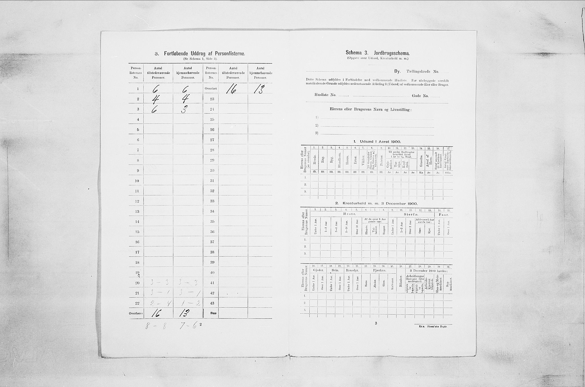 RA, 1900 census for Drammen, 1900, p. 5342