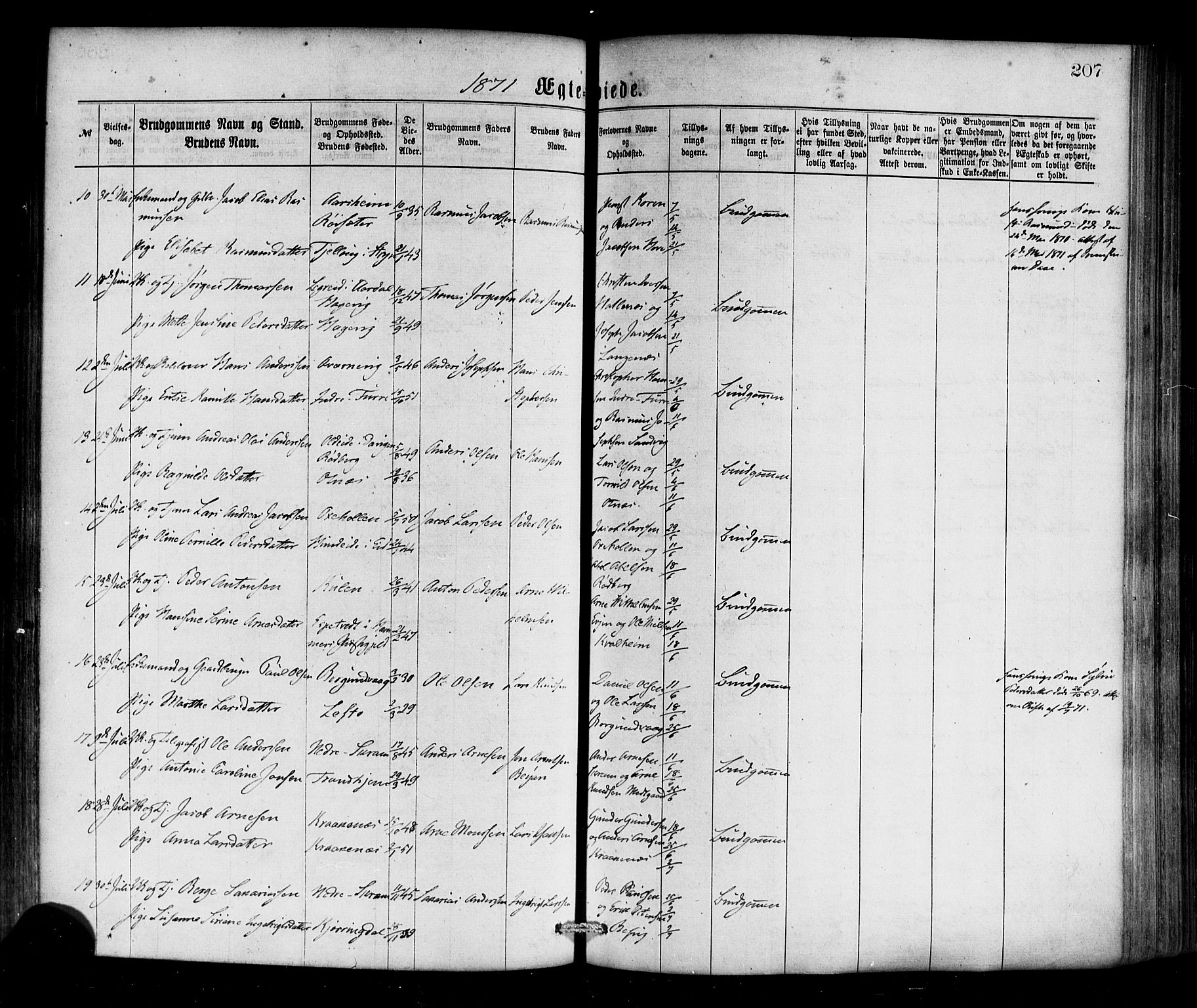 Selje sokneprestembete, SAB/A-99938/H/Ha/Haa/Haaa: Parish register (official) no. A 12, 1870-1880, p. 207