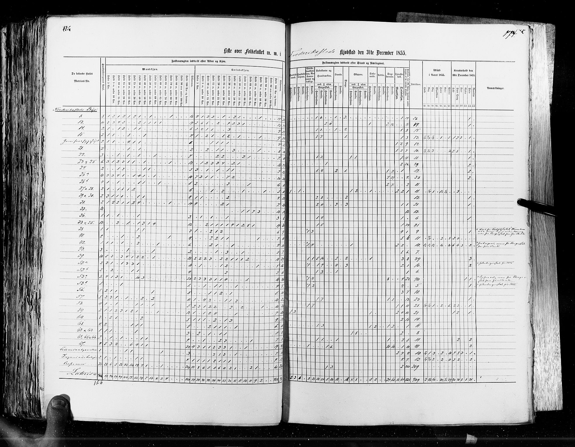 RA, Census 1855, vol. 7: Fredrikshald-Kragerø, 1855, p. 174