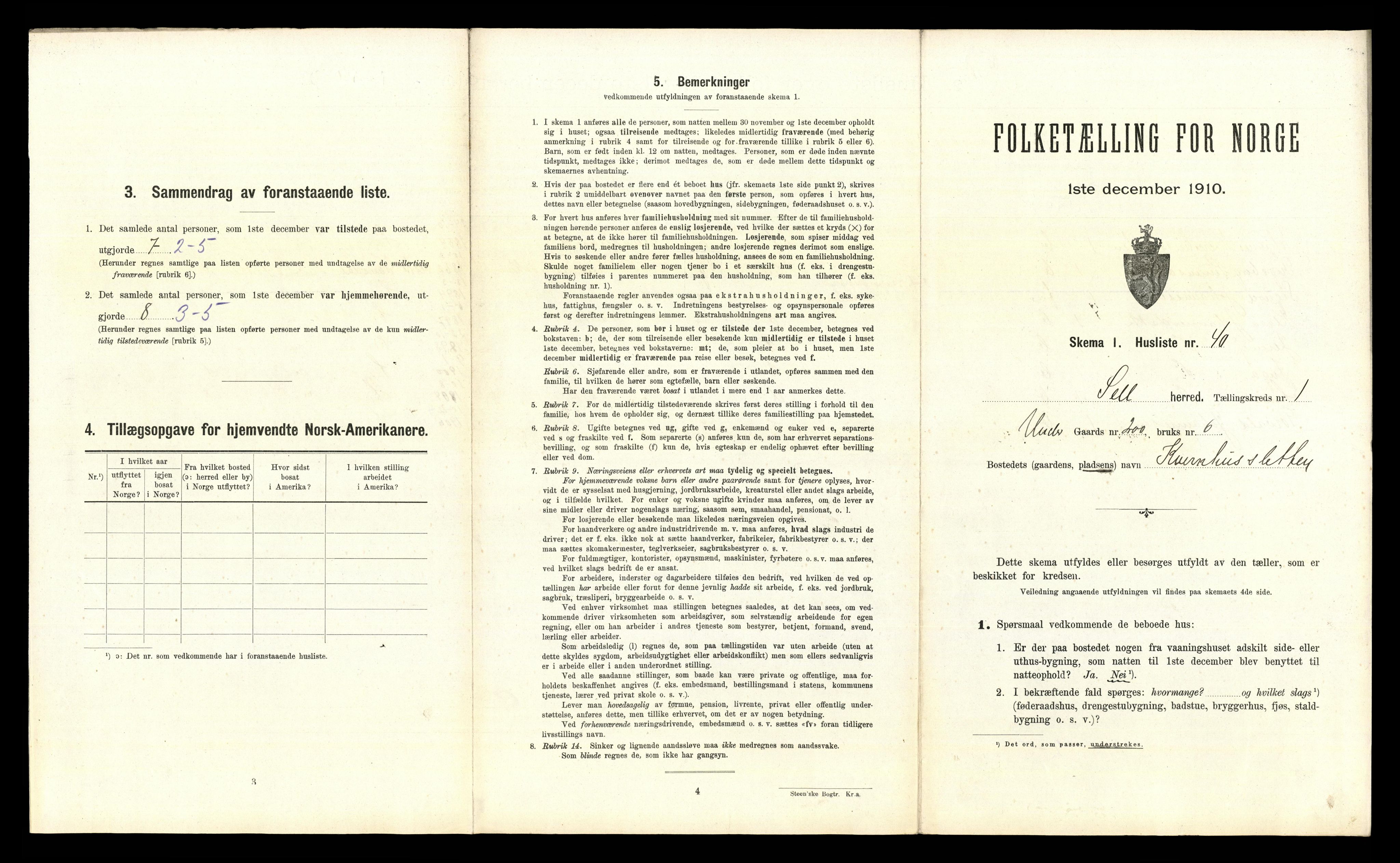 RA, 1910 census for Sel, 1910, p. 106