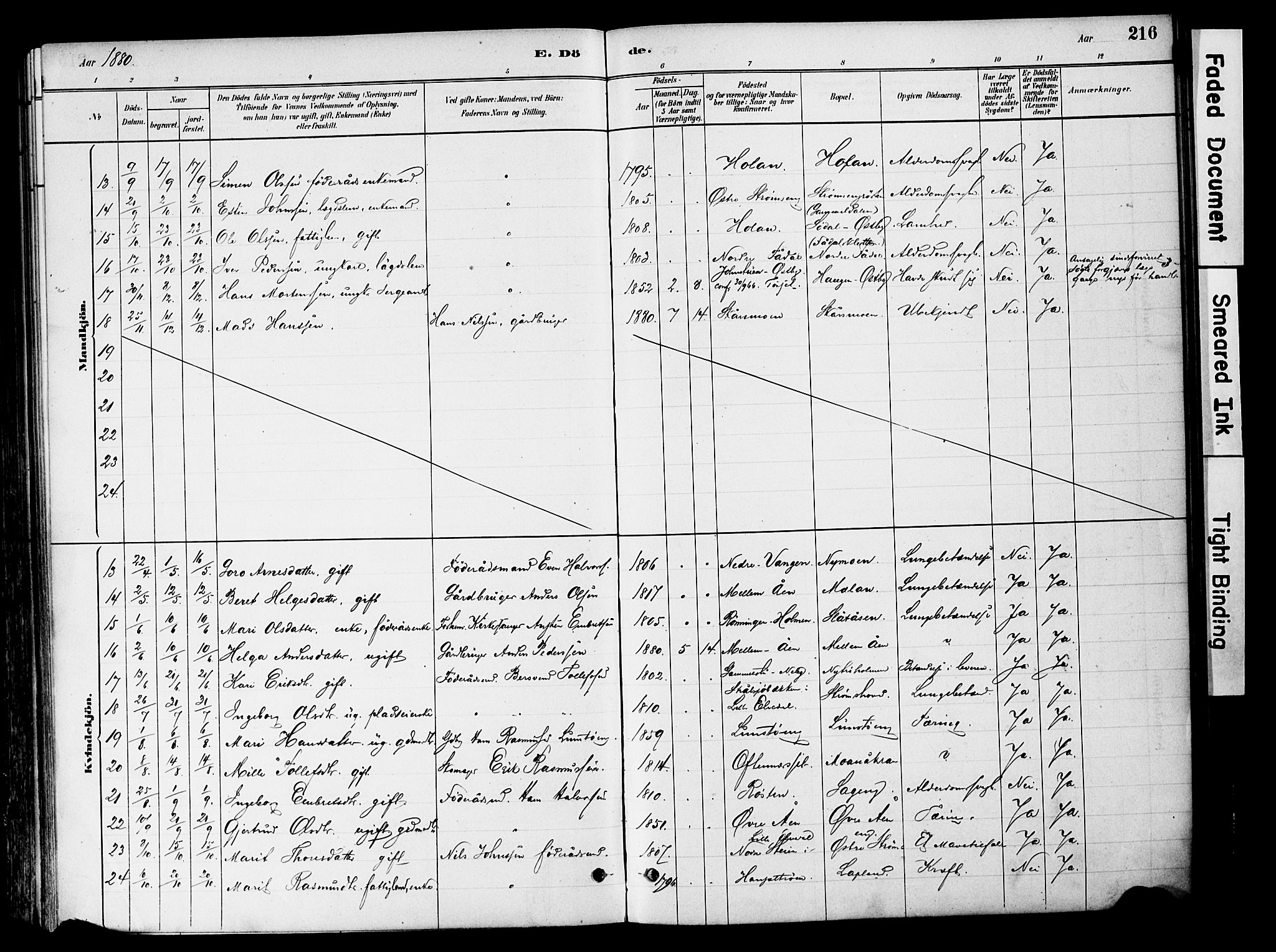 Tynset prestekontor, SAH/PREST-058/H/Ha/Haa/L0022: Parish register (official) no. 22, 1880-1899, p. 216