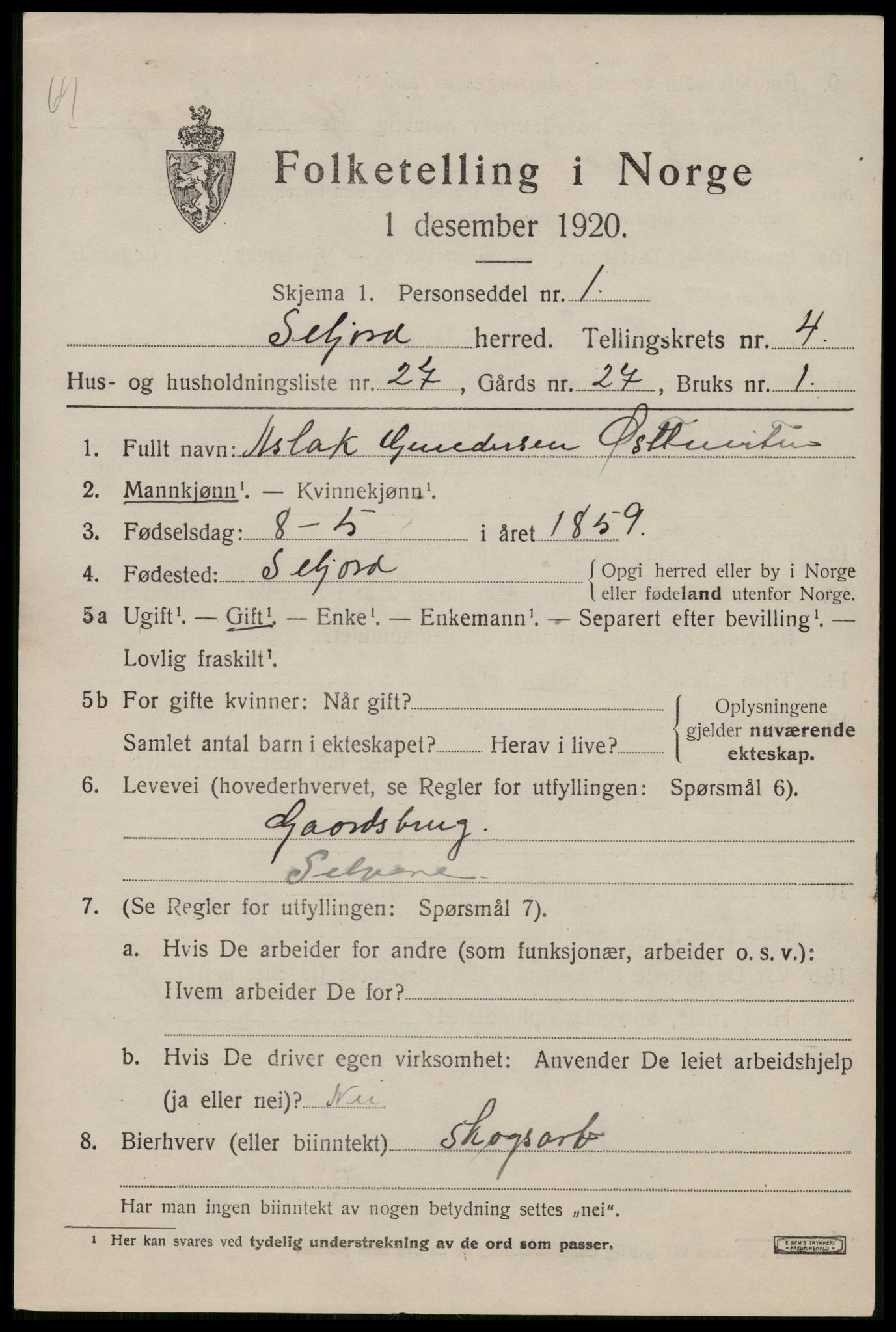 SAKO, 1920 census for Seljord, 1920, p. 2362