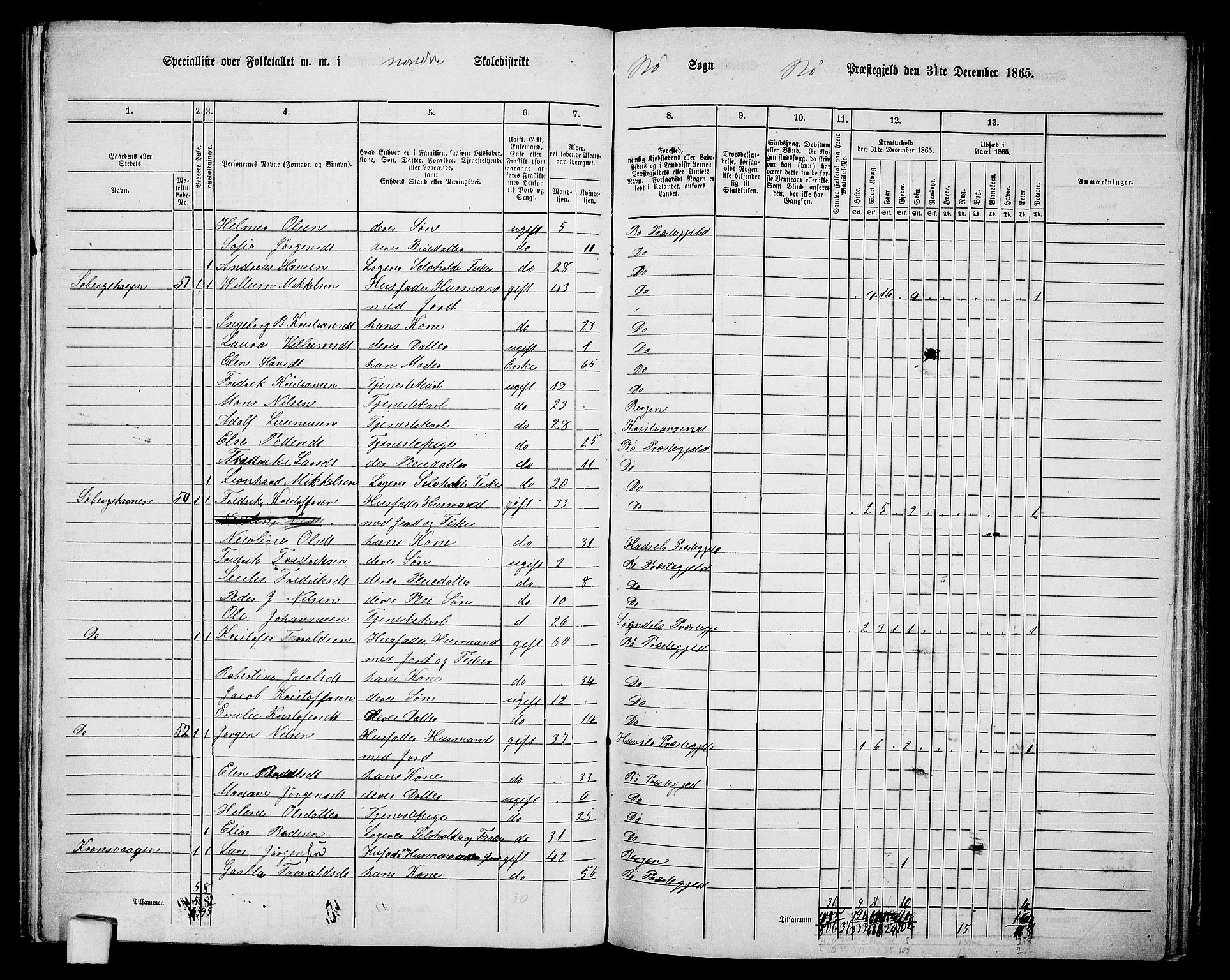 RA, 1865 census for Bø, 1865, p. 25