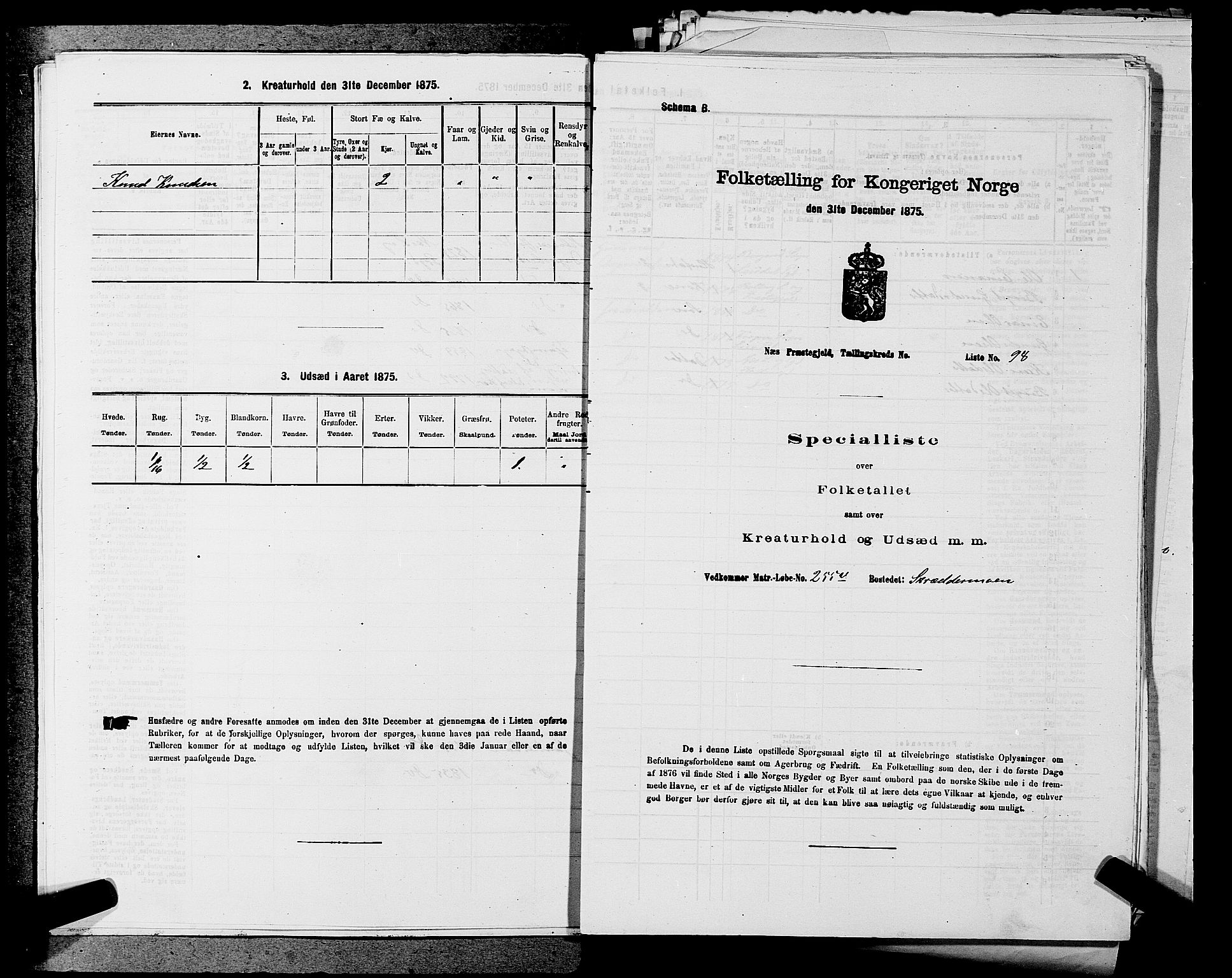 SAKO, 1875 census for 0616P Nes, 1875, p. 218