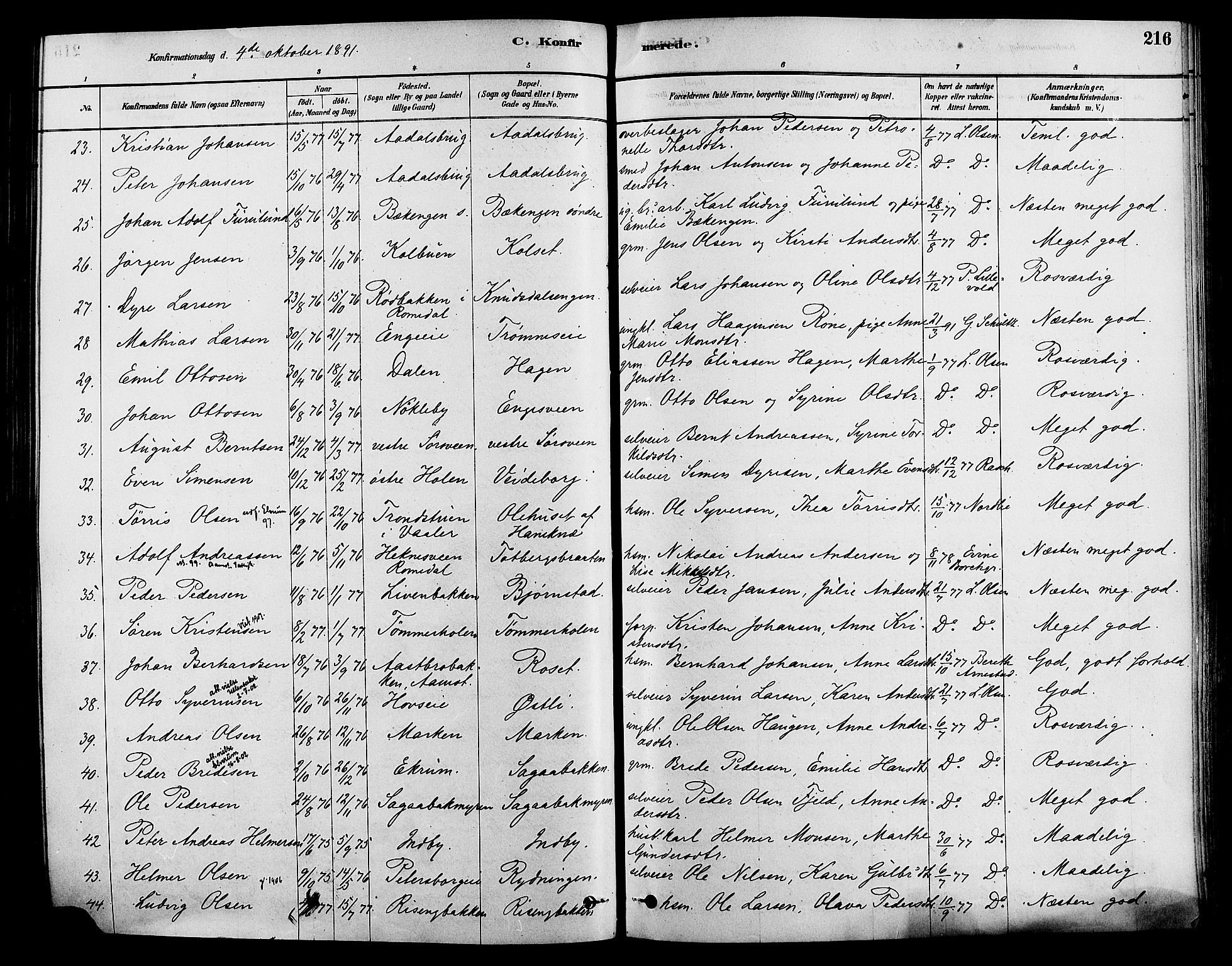 Løten prestekontor, AV/SAH-PREST-022/K/Ka/L0009: Parish register (official) no. 9, 1878-1891, p. 216