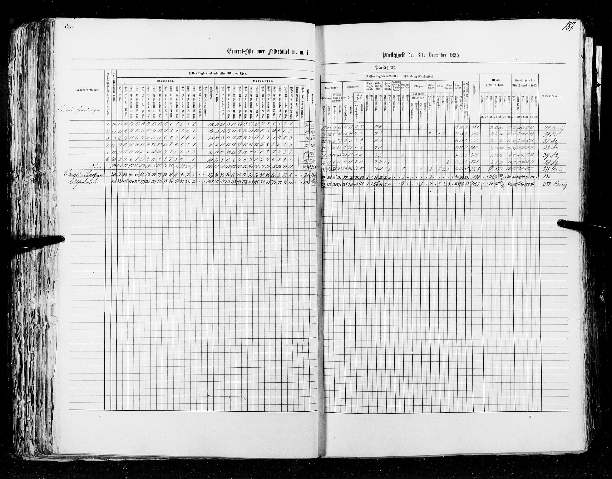 RA, Census 1855, vol. 5: Nordre Bergenhus amt, Romsdal amt og Søndre Trondhjem amt, 1855, p. 187