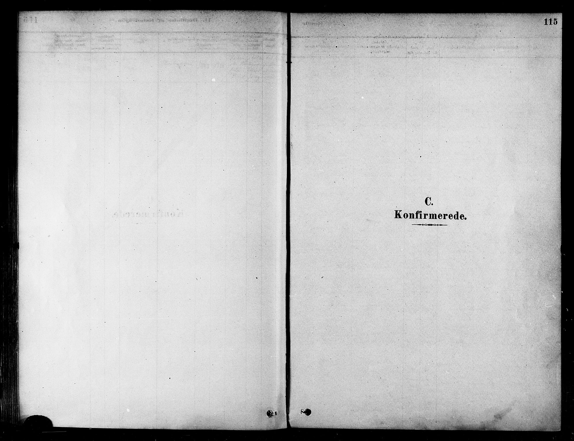 Alta sokneprestkontor, SATØ/S-1338/H/Ha/L0002.kirke: Parish register (official) no. 2, 1879-1892, p. 115