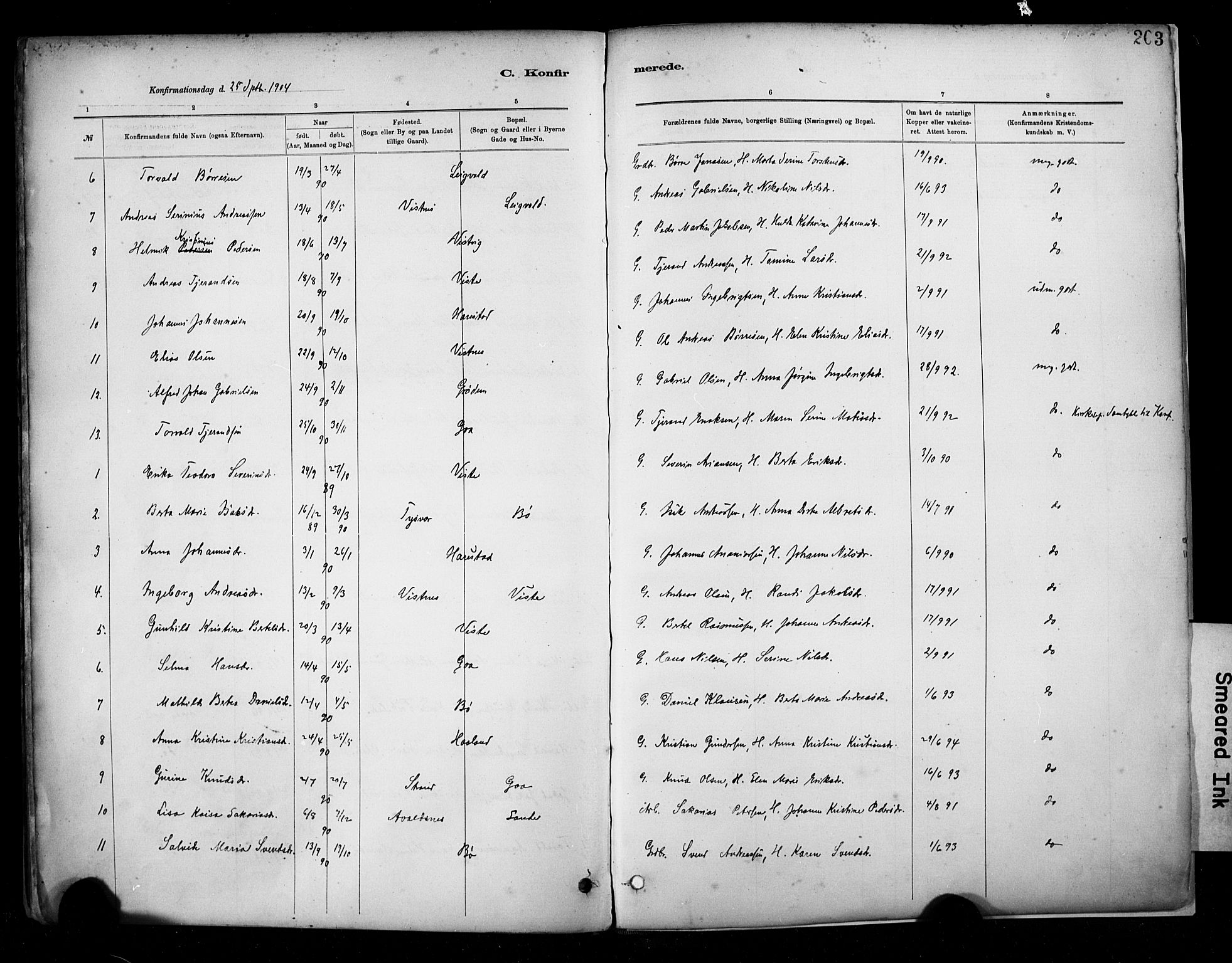Hetland sokneprestkontor, SAST/A-101826/30/30BA/L0009: Parish register (official) no. A 9, 1882-1918, p. 203
