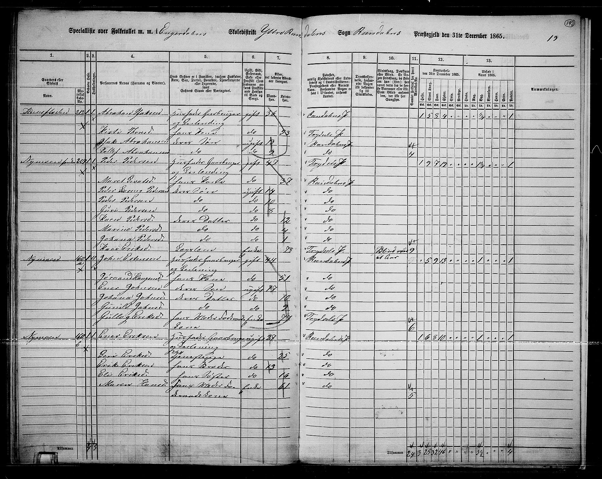RA, 1865 census for Rendalen, 1865, p. 165