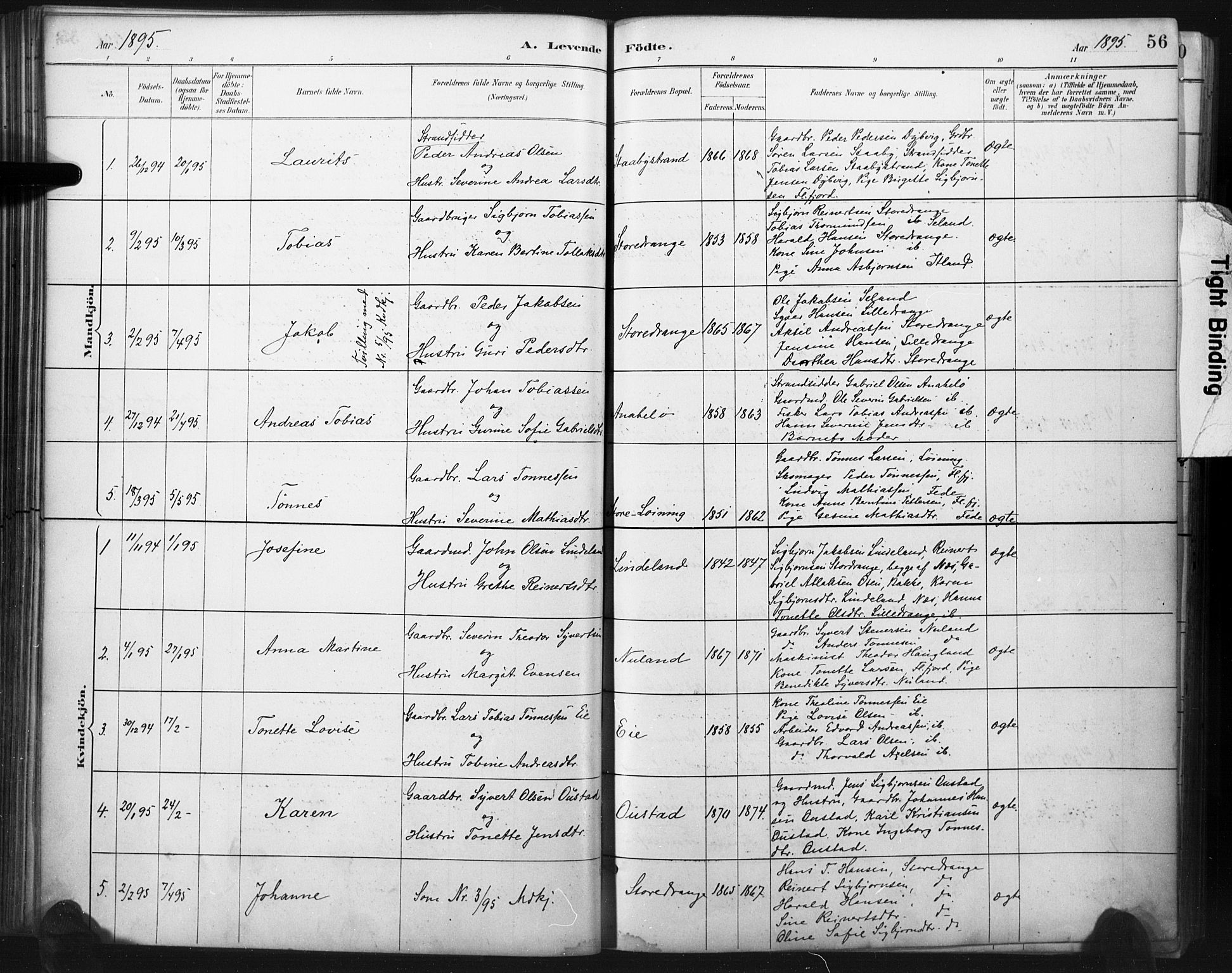 Flekkefjord sokneprestkontor, AV/SAK-1111-0012/F/Fa/Fac/L0008: Parish register (official) no. A 8, 1885-1898, p. 56