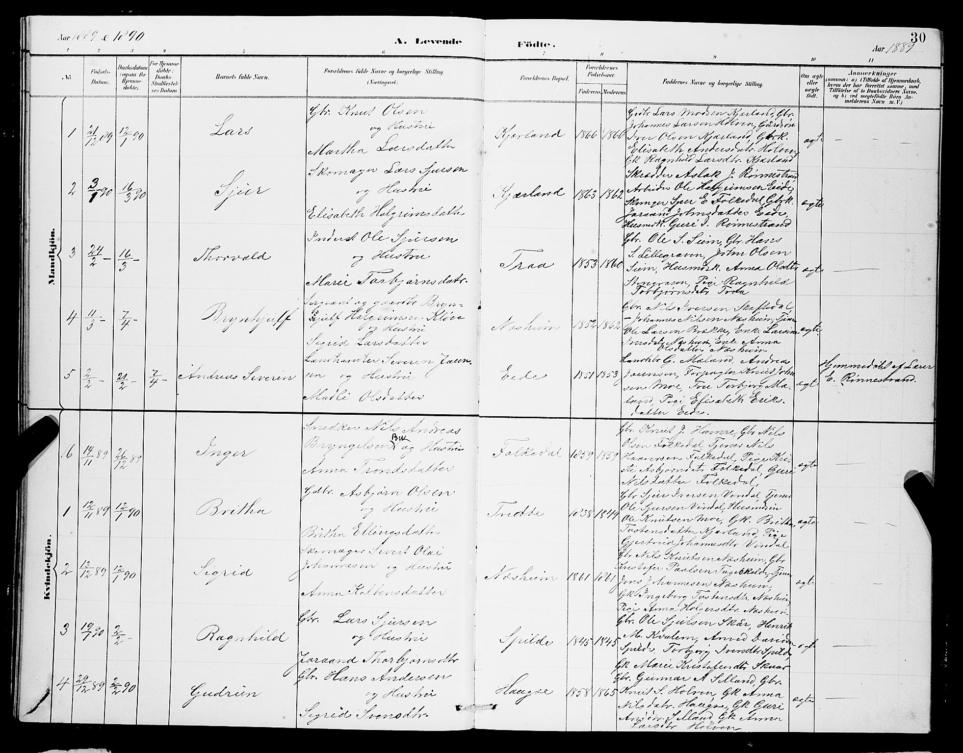 Ulvik sokneprestembete, SAB/A-78801/H/Hab: Parish register (copy) no. B 3, 1884-1901, p. 30