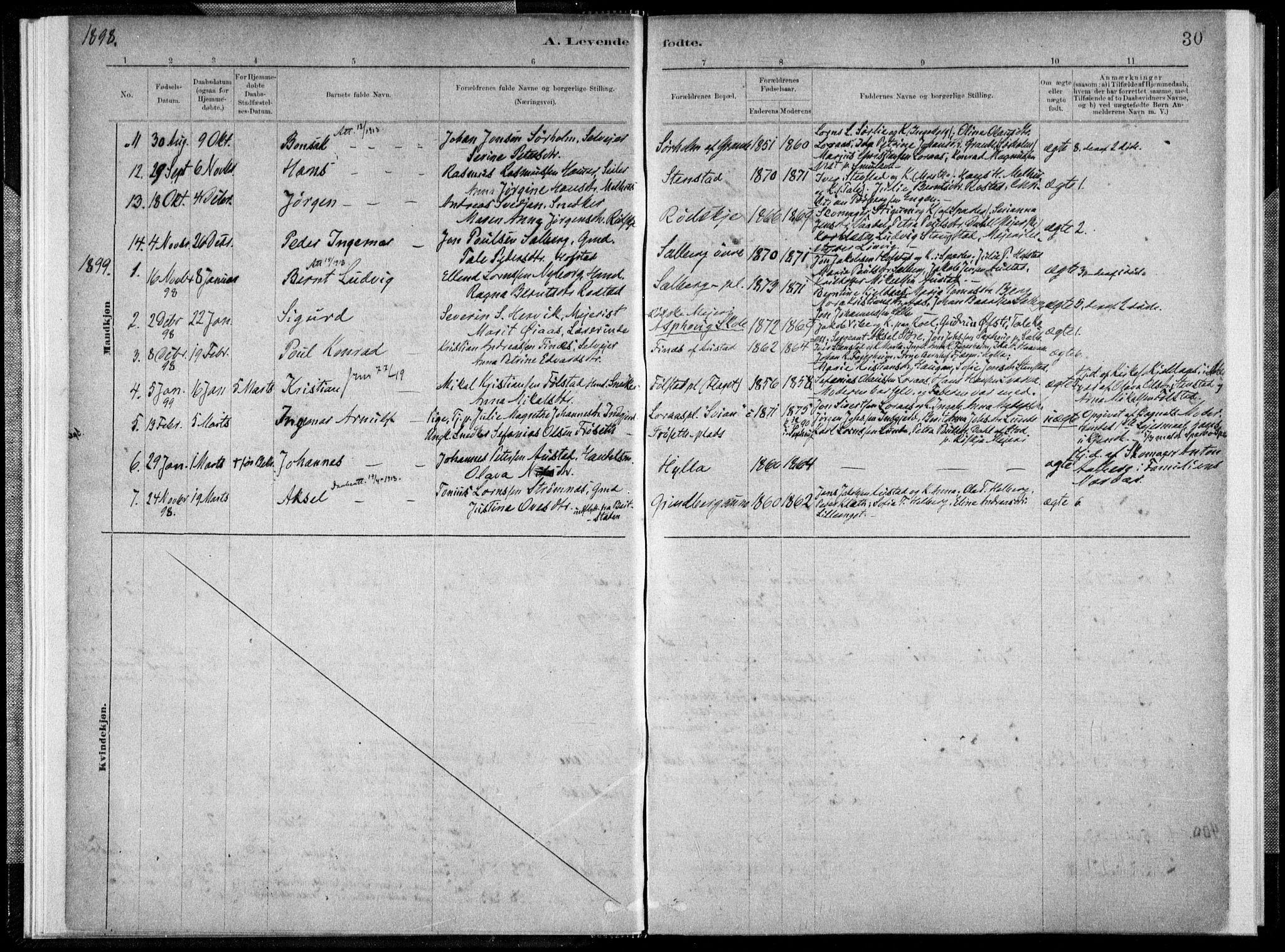 Ministerialprotokoller, klokkerbøker og fødselsregistre - Nord-Trøndelag, AV/SAT-A-1458/731/L0309: Parish register (official) no. 731A01, 1879-1918, p. 30