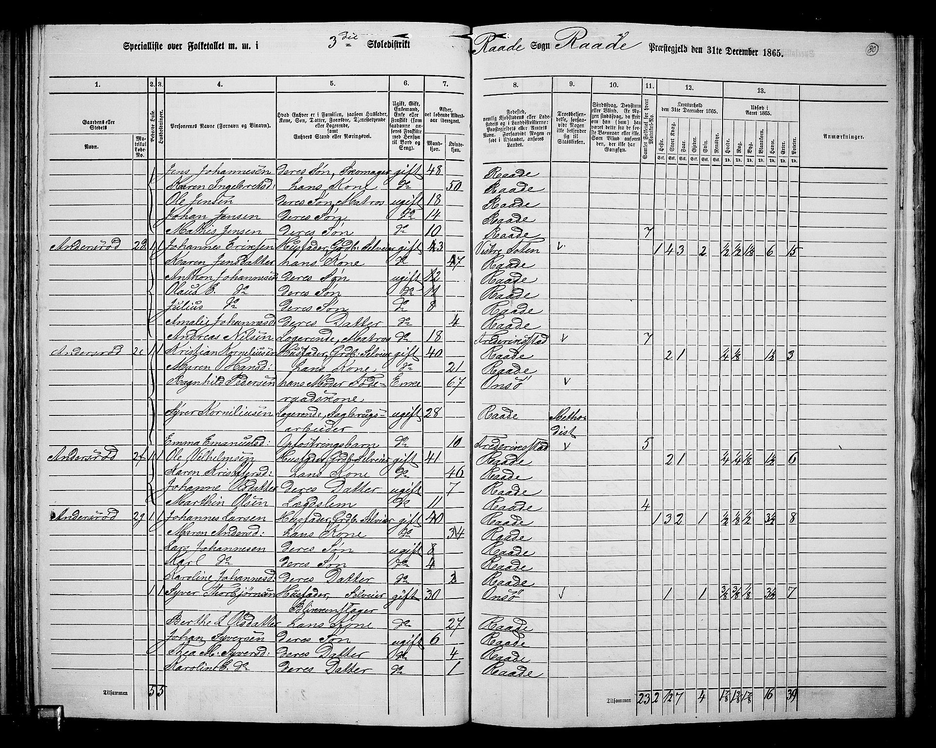 RA, 1865 census for Råde, 1865, p. 72