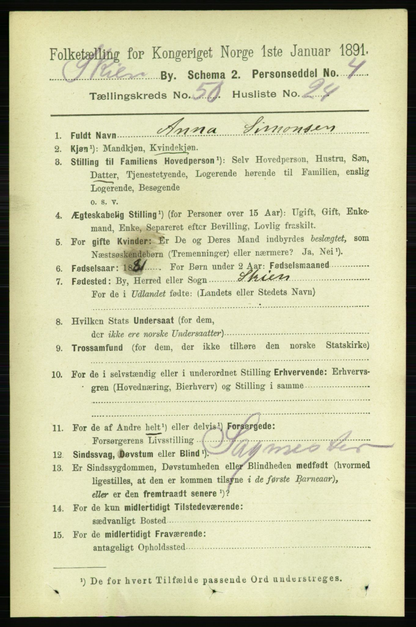 RA, 1891 census for 0806 Skien, 1891, p. 11001