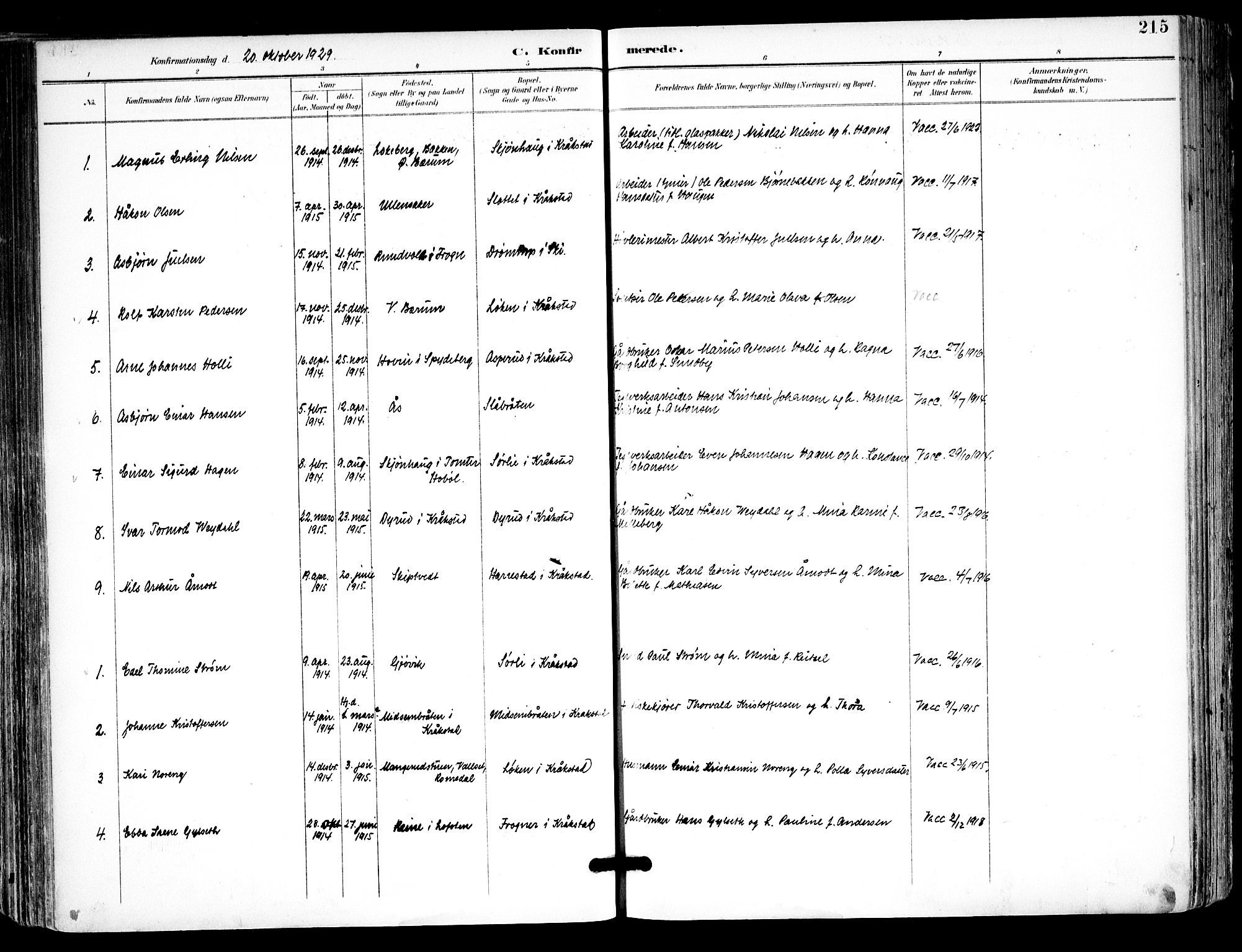 Kråkstad prestekontor Kirkebøker, SAO/A-10125a/F/Fa/L0010: Parish register (official) no. I 10, 1893-1931, p. 215