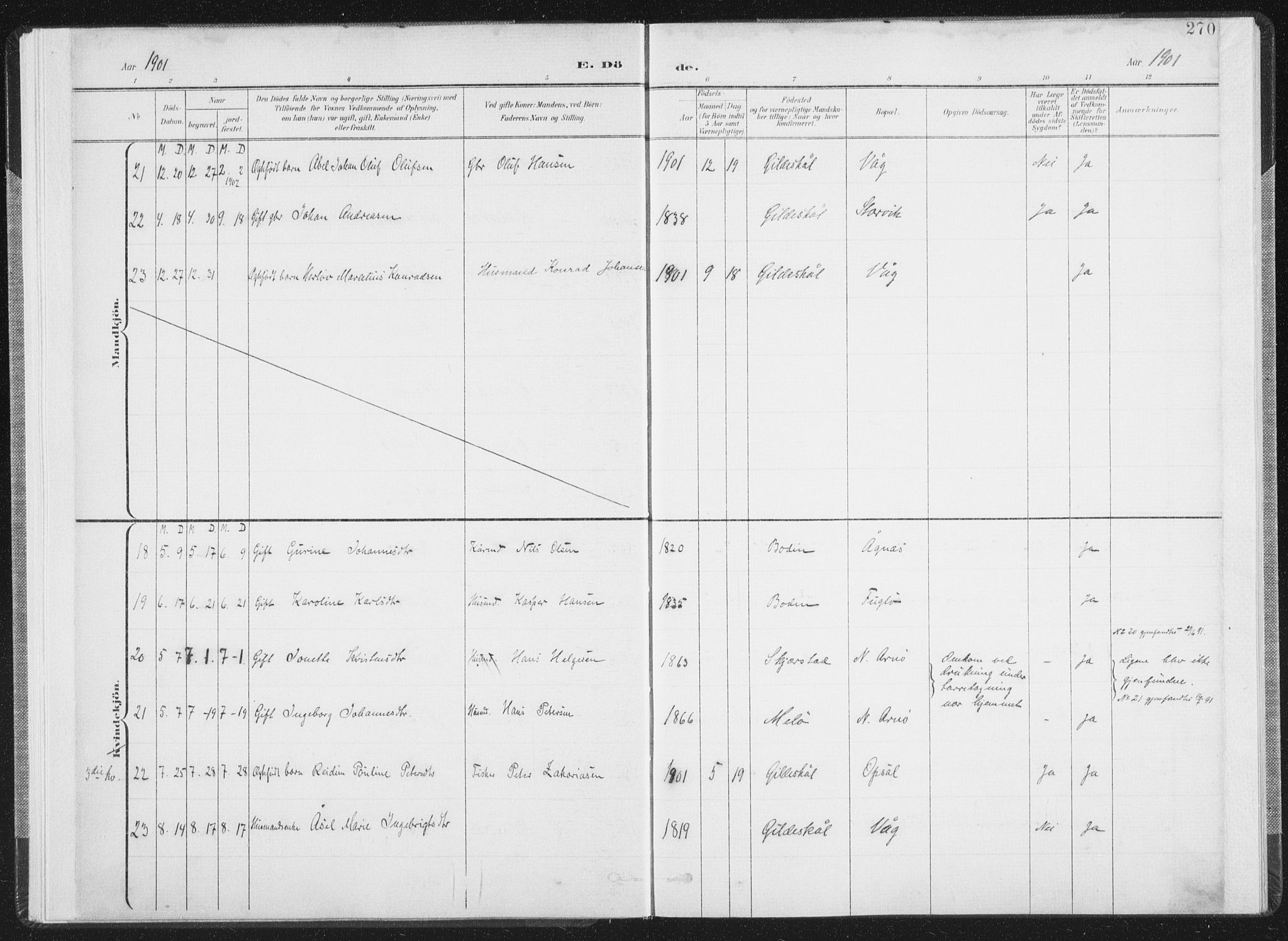 Ministerialprotokoller, klokkerbøker og fødselsregistre - Nordland, AV/SAT-A-1459/805/L0103: Parish register (official) no. 805A08II, 1900-1909, p. 270